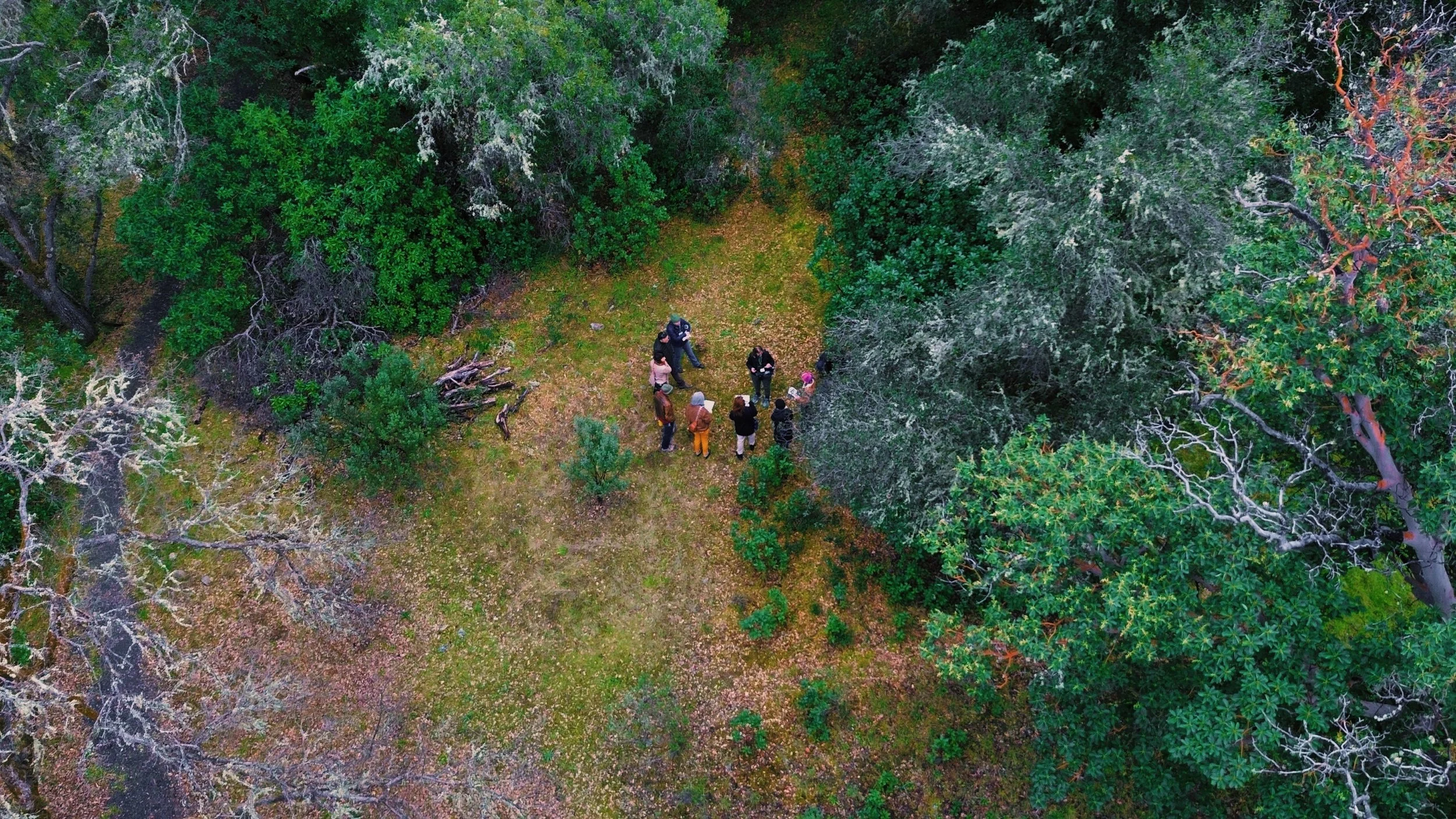 Aerial Photo of UC Hopland REC