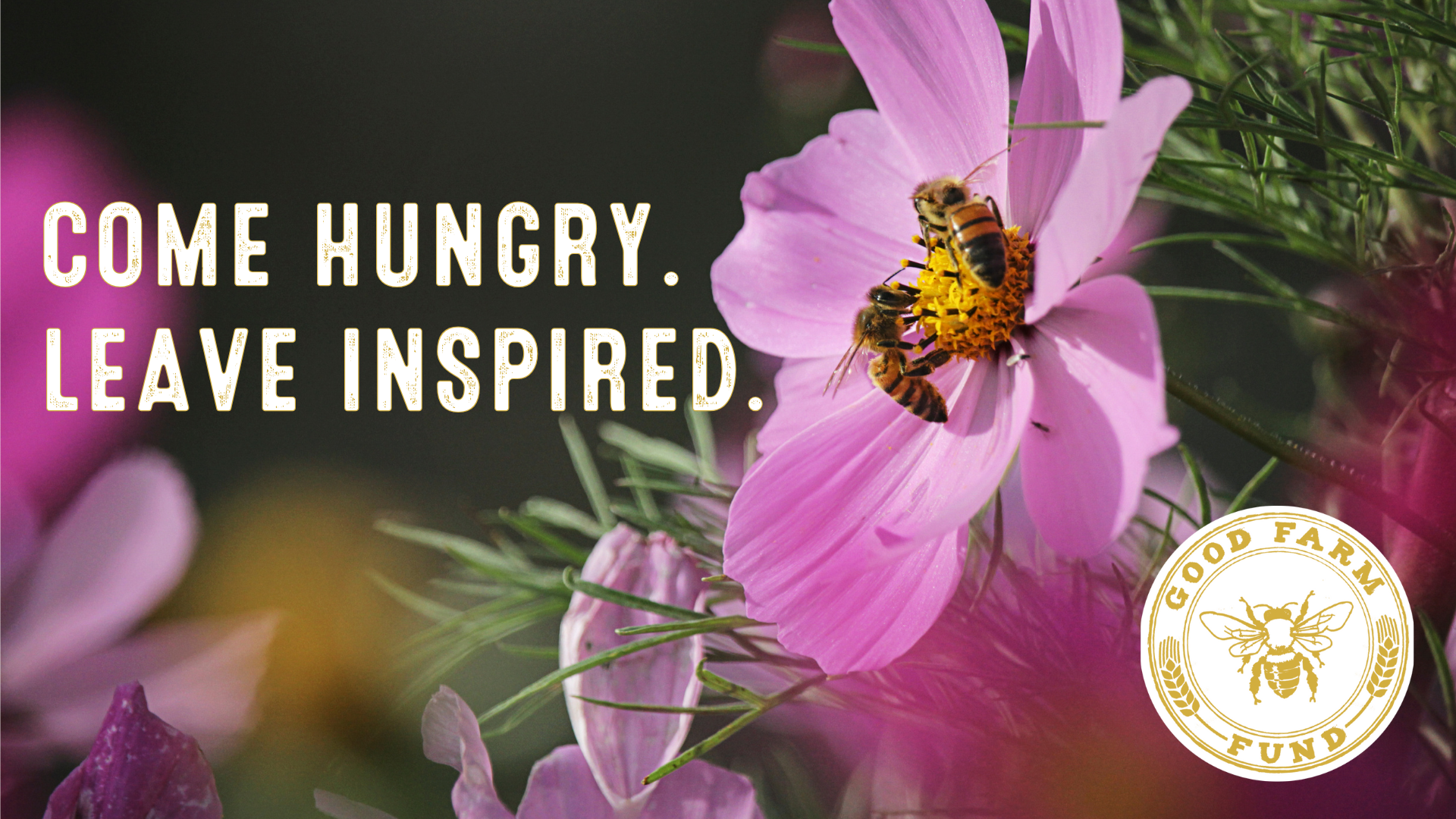 A close-up of a pink flower with two bees collecting nectar, with the text 'Come hungry. Leave inspired.' and a logo with a bee and the words 'Good Farm Fund' in gold.
