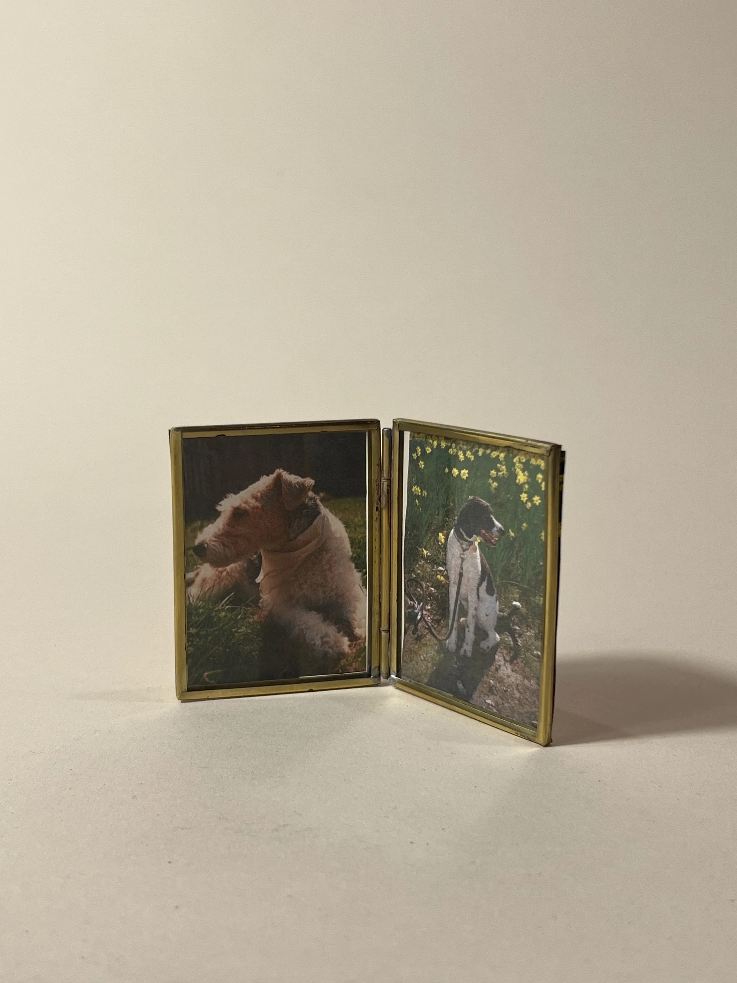 Mini Metal Double Frame