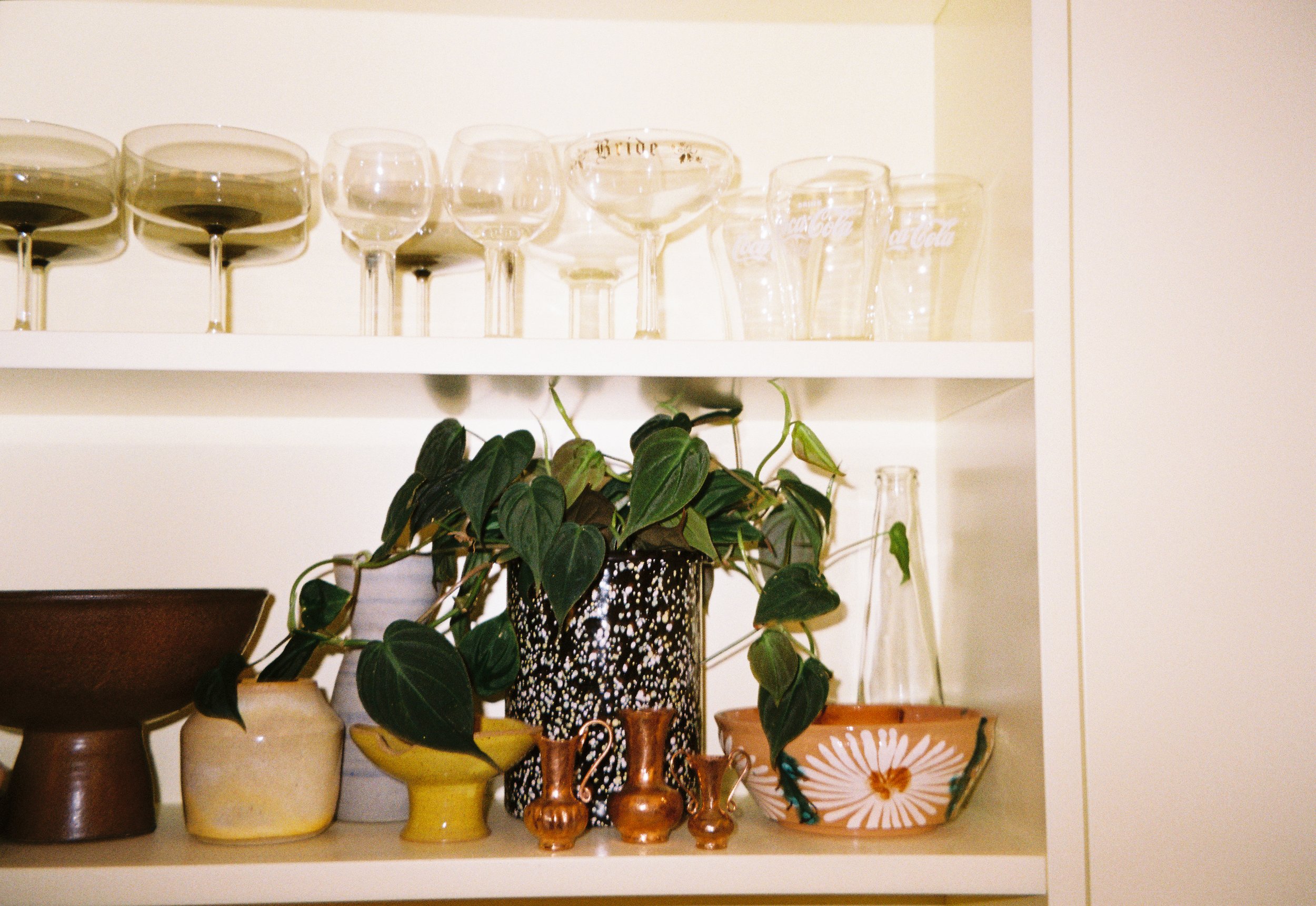 AE_1745_Gold 200_752157-R1-075-36.jpg