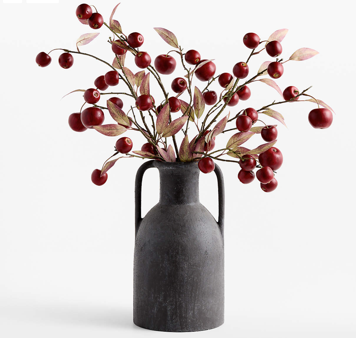 Apple Decor.png