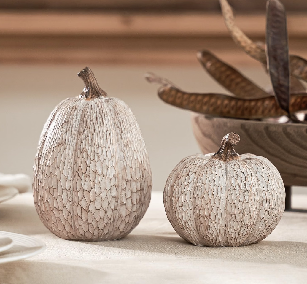 pumpkins.png