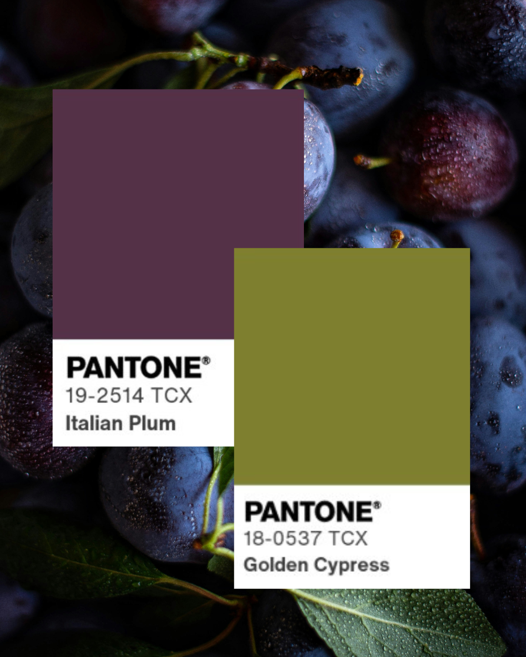 Plum purple and moss green fall color palette with brass and dark wood accents