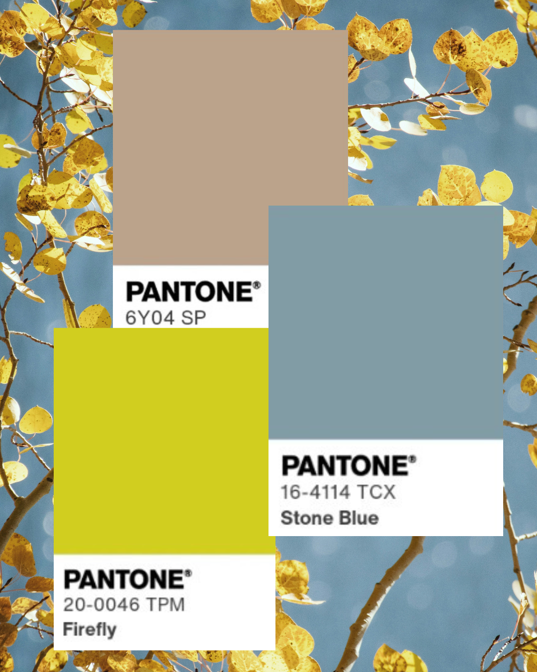 Khaki, dusty blue, and chartreuse fall color palette for a coastal home