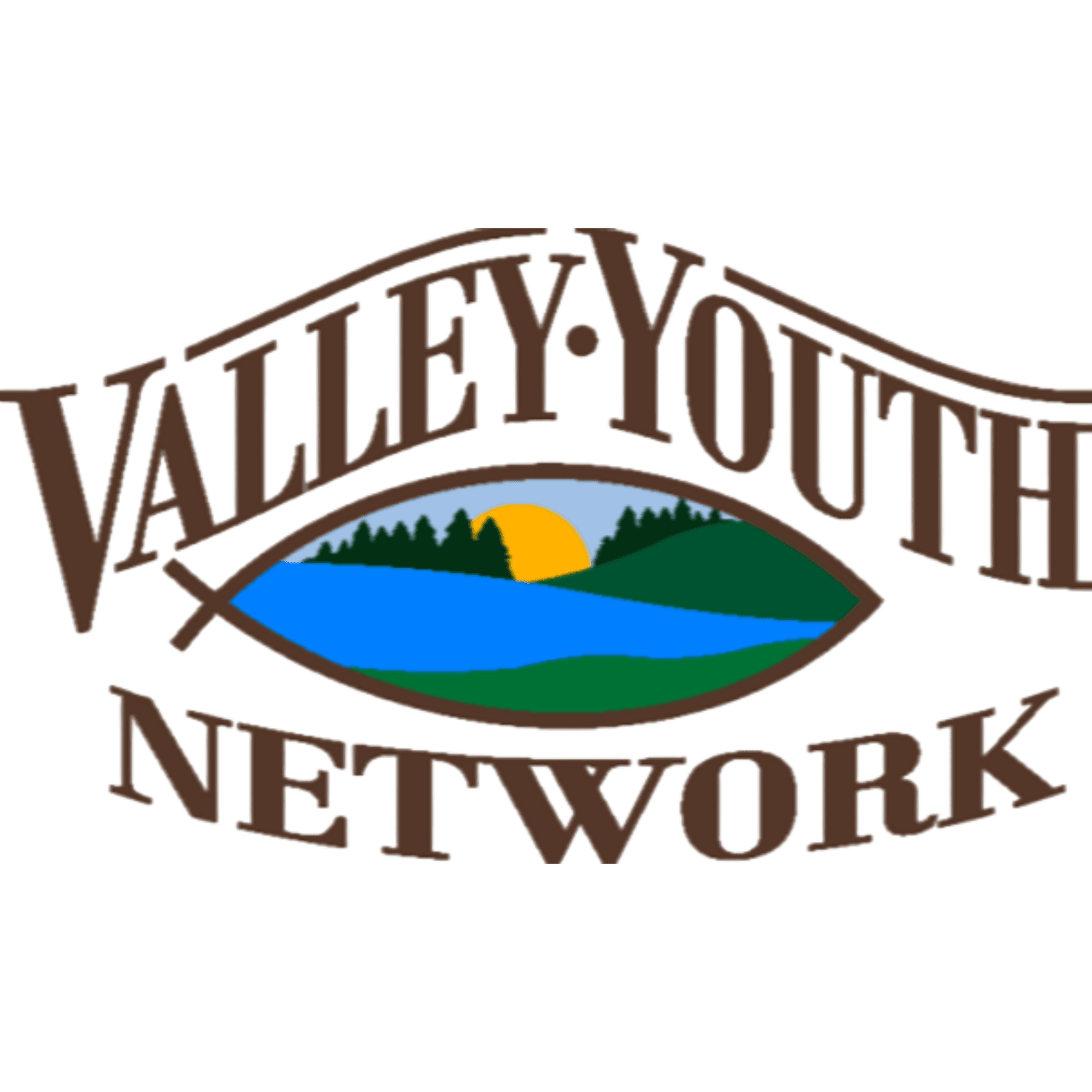 Valley Youth Network