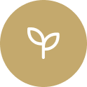 Simple icon of a plant or leaf on a beige background
