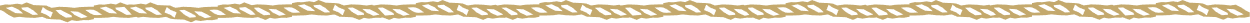 Empty white space with a faint blue line at the bottom.