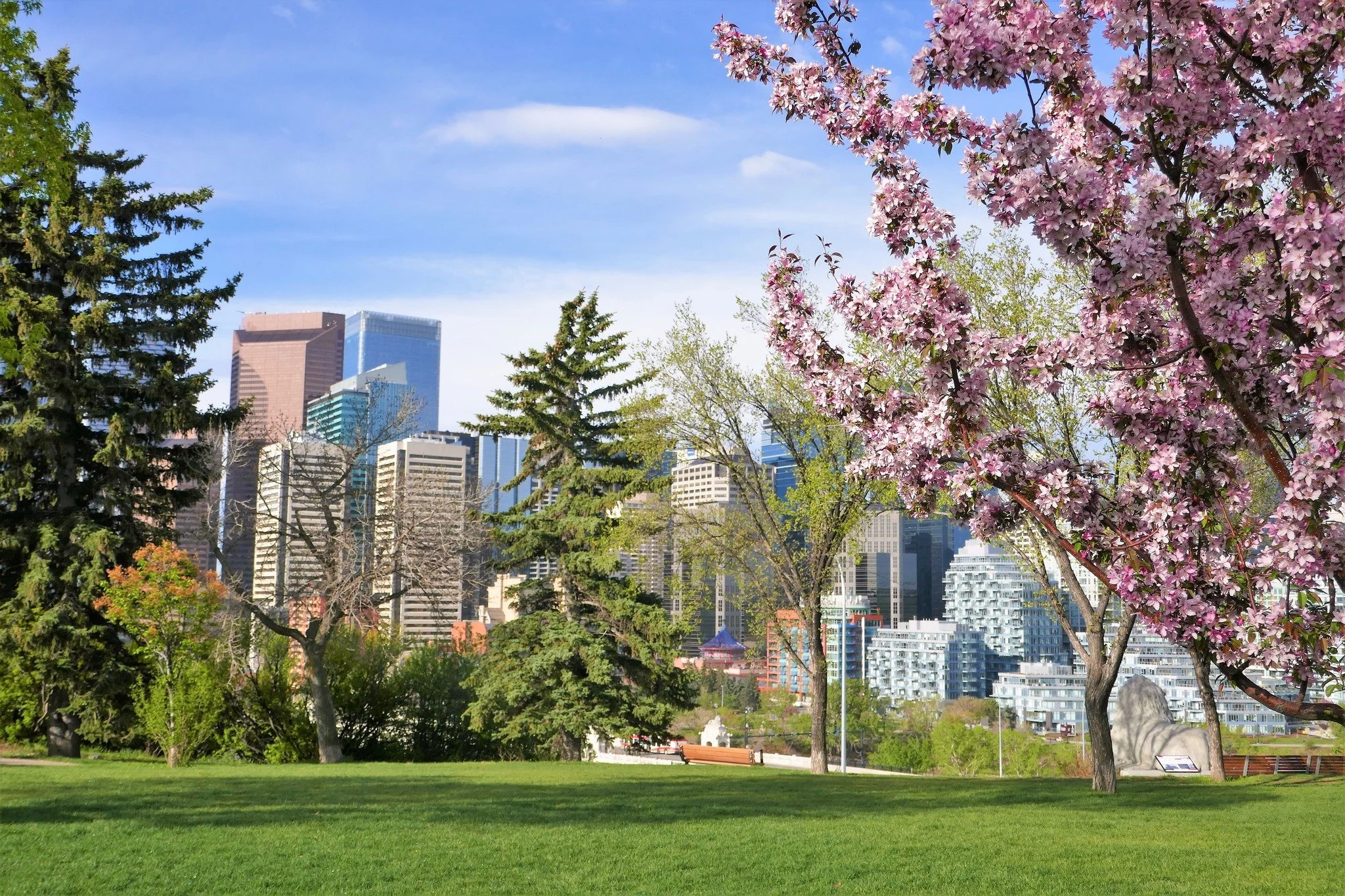 Is Now a Good Time to Buy a Home in Calgary? — Spring 2026