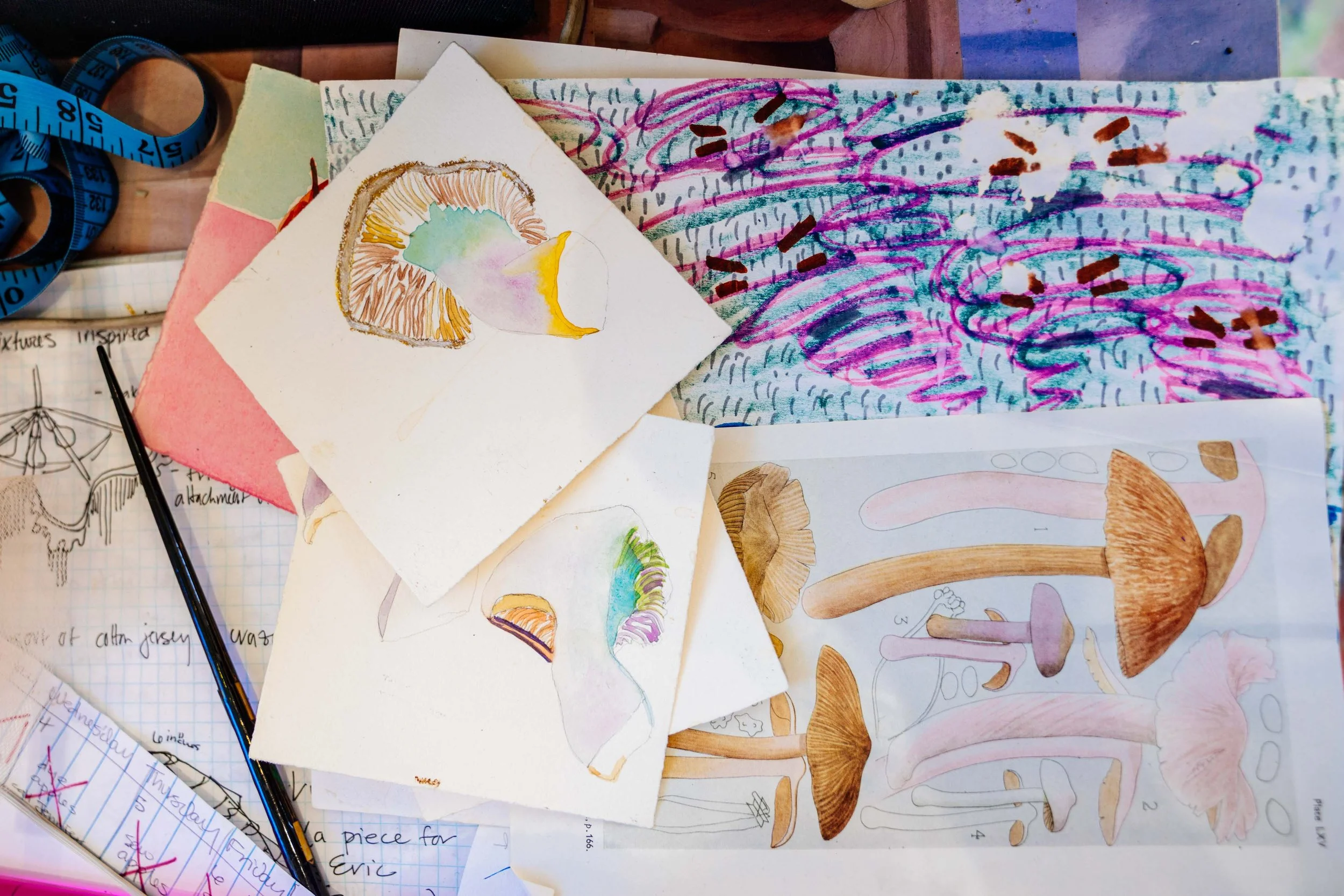 Mushroom-Sketches-and-Paintings.jpg