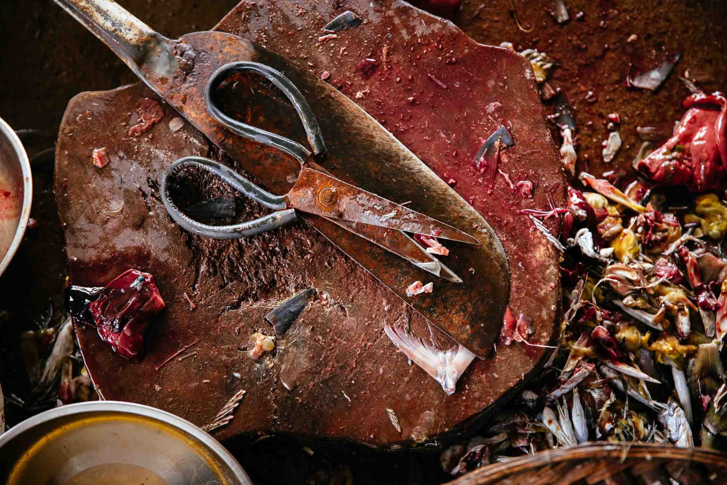 Rusty-Scissors-and-Fish-Remains.jpg