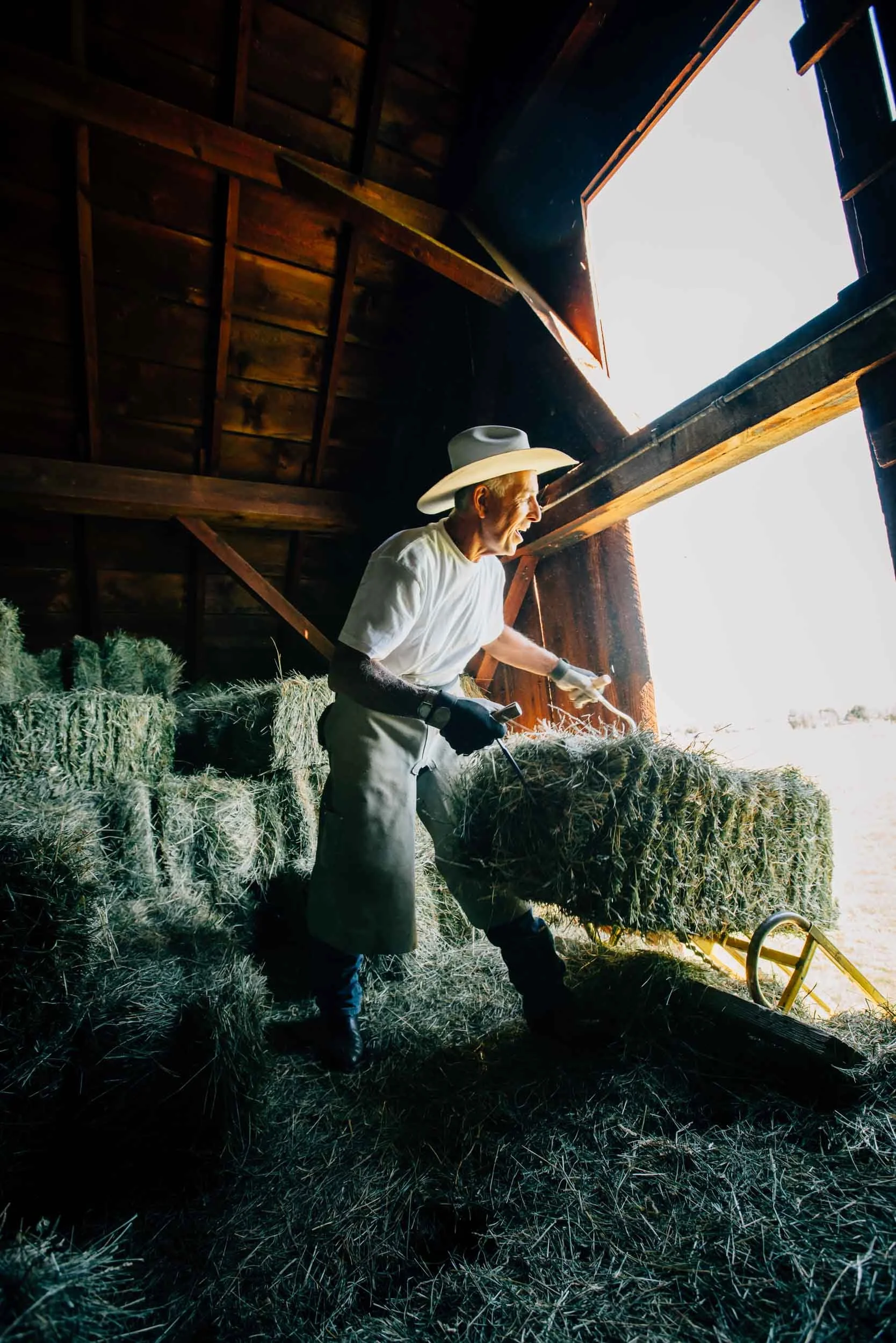 Cowboy-in-Barn-Lifting-Hay-Bale.jpg