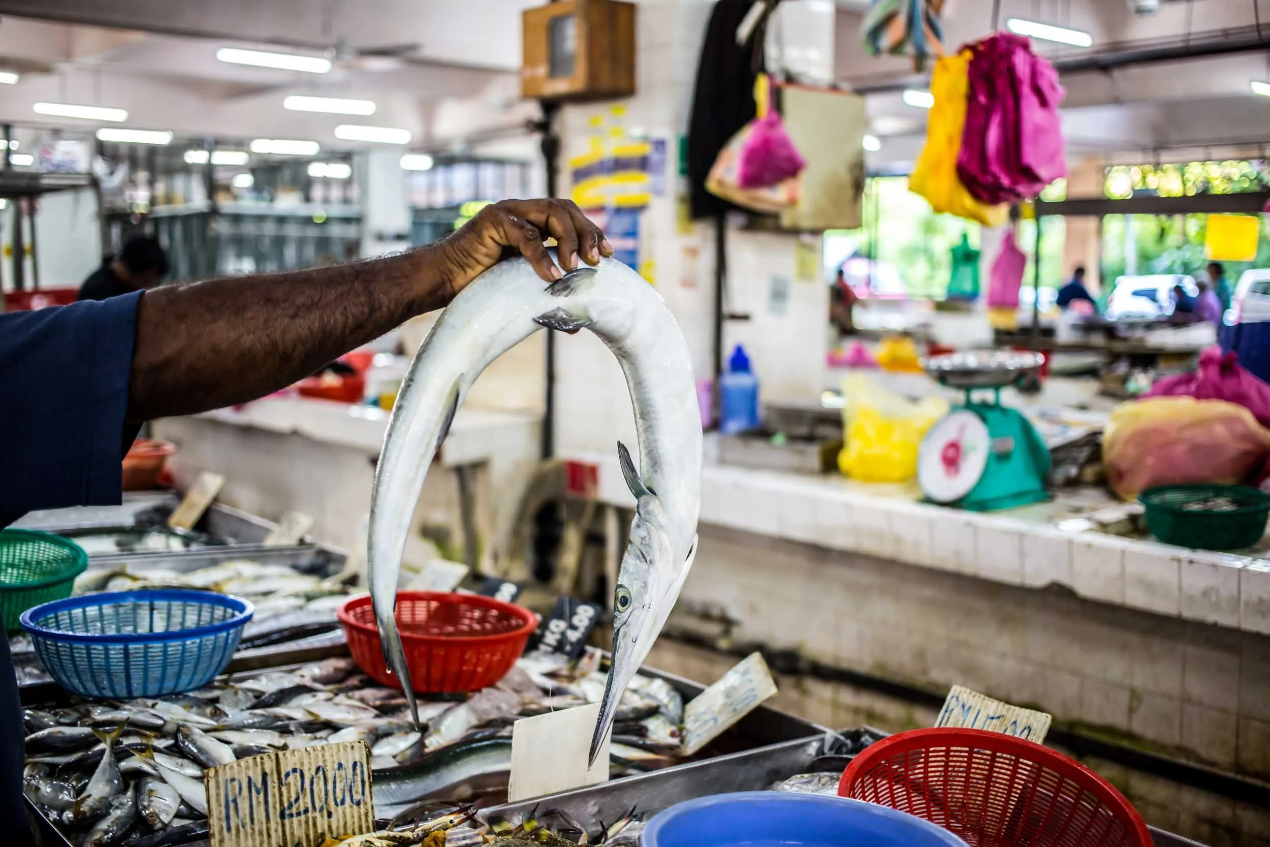 Hand-Holding-up-Fish-in-Market.jpg