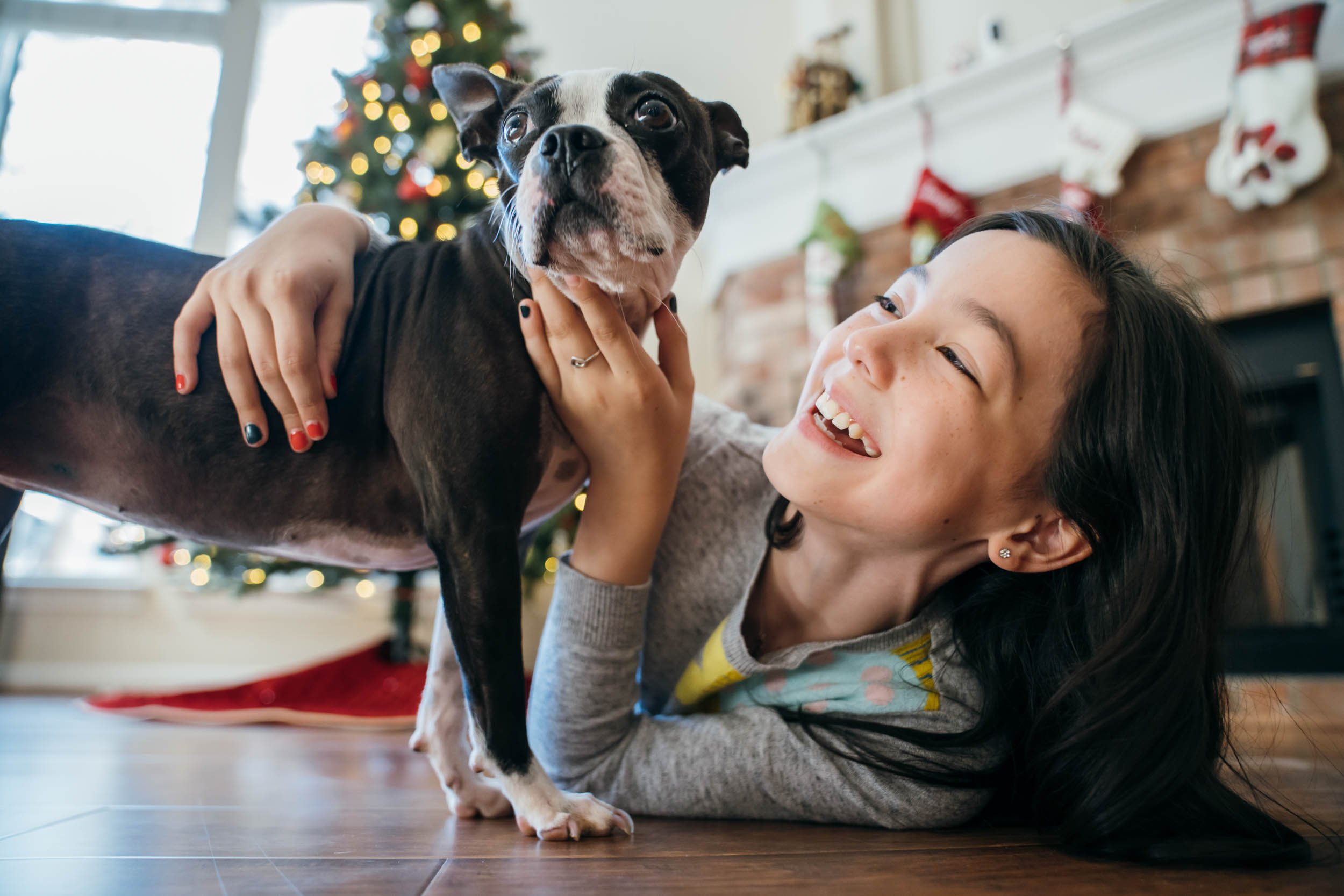 Girl-with-Boston-Terrier.jpg