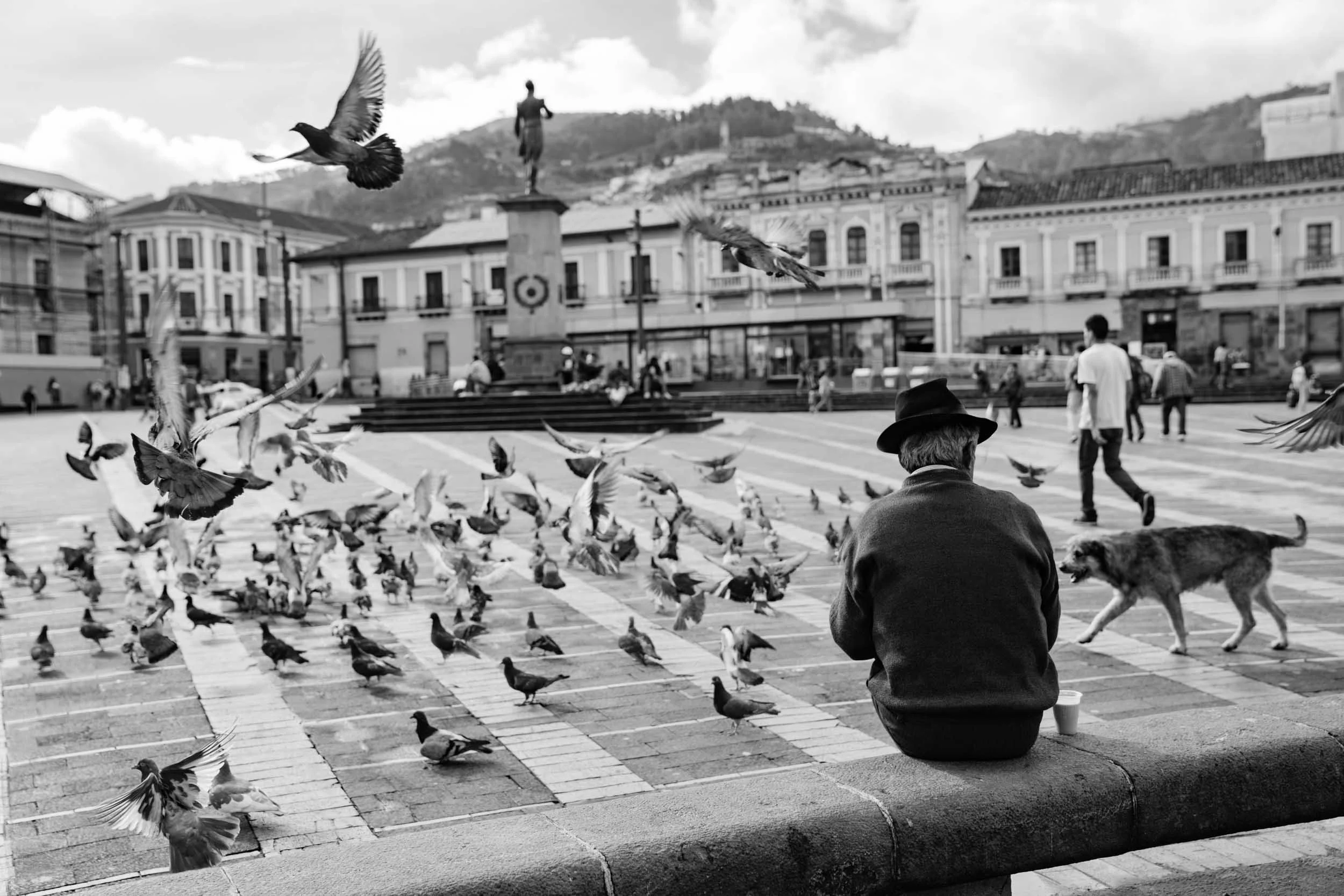 Square-in-Quito-with-Man-Dog-Pigeons-and-Statue.jpg