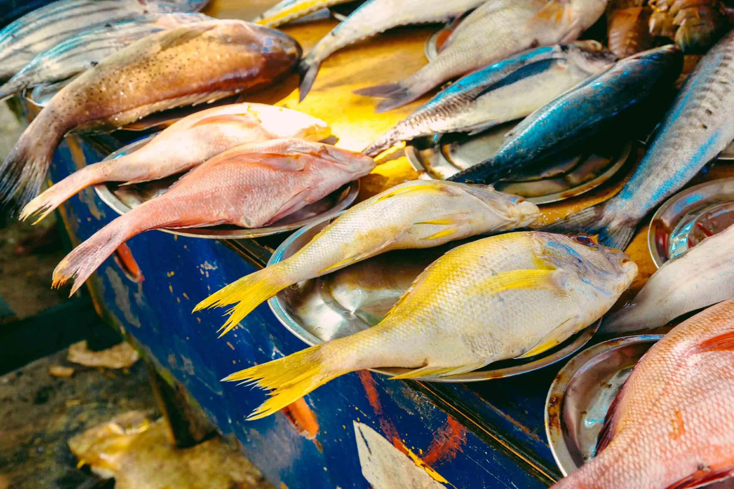 Colorful-Market-Fish-Display.jpg
