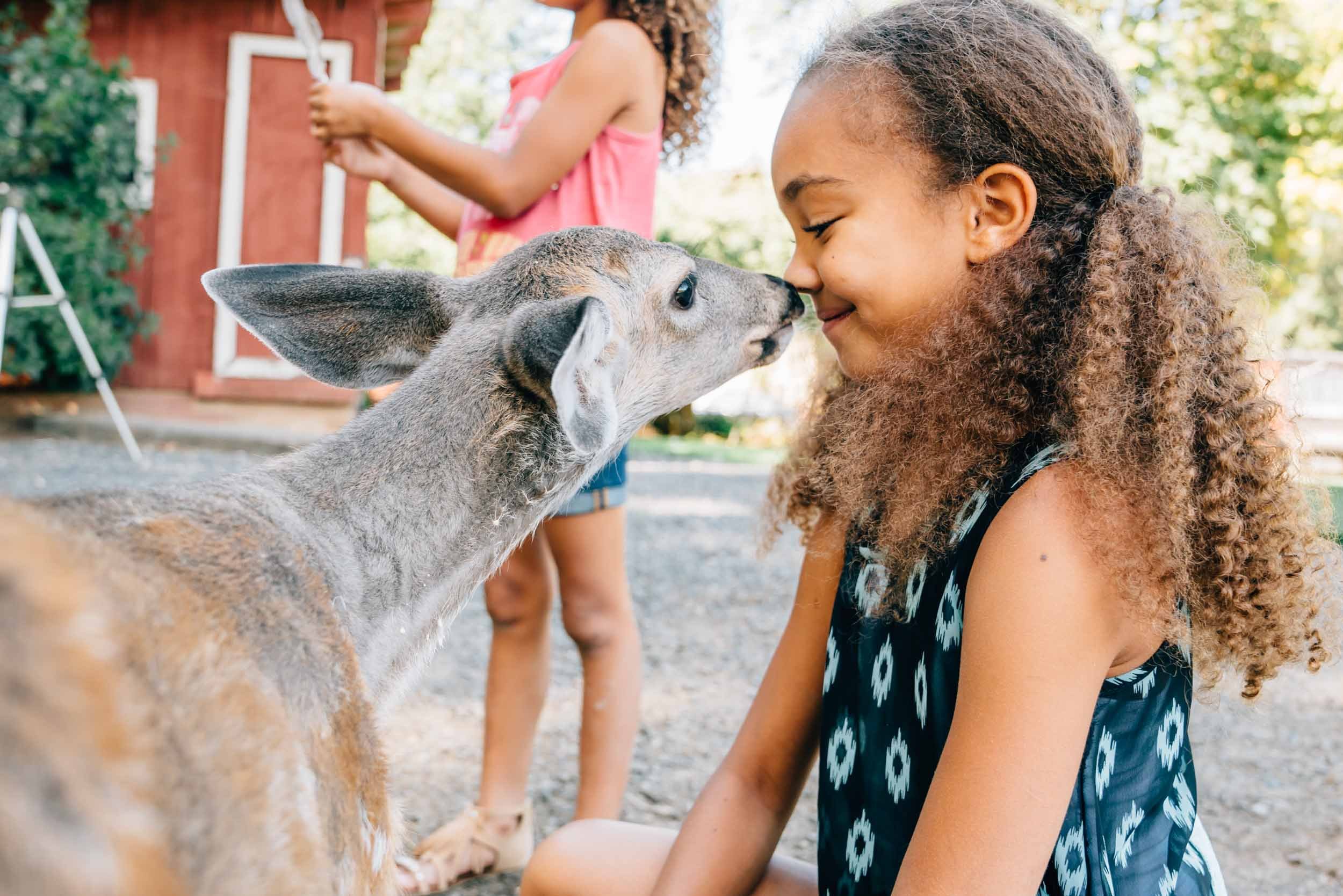 Deer-Nuzzles-Girls-Nose.jpg