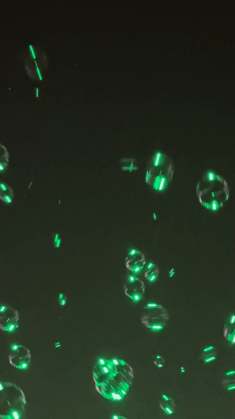 Green-Bubbles.gif