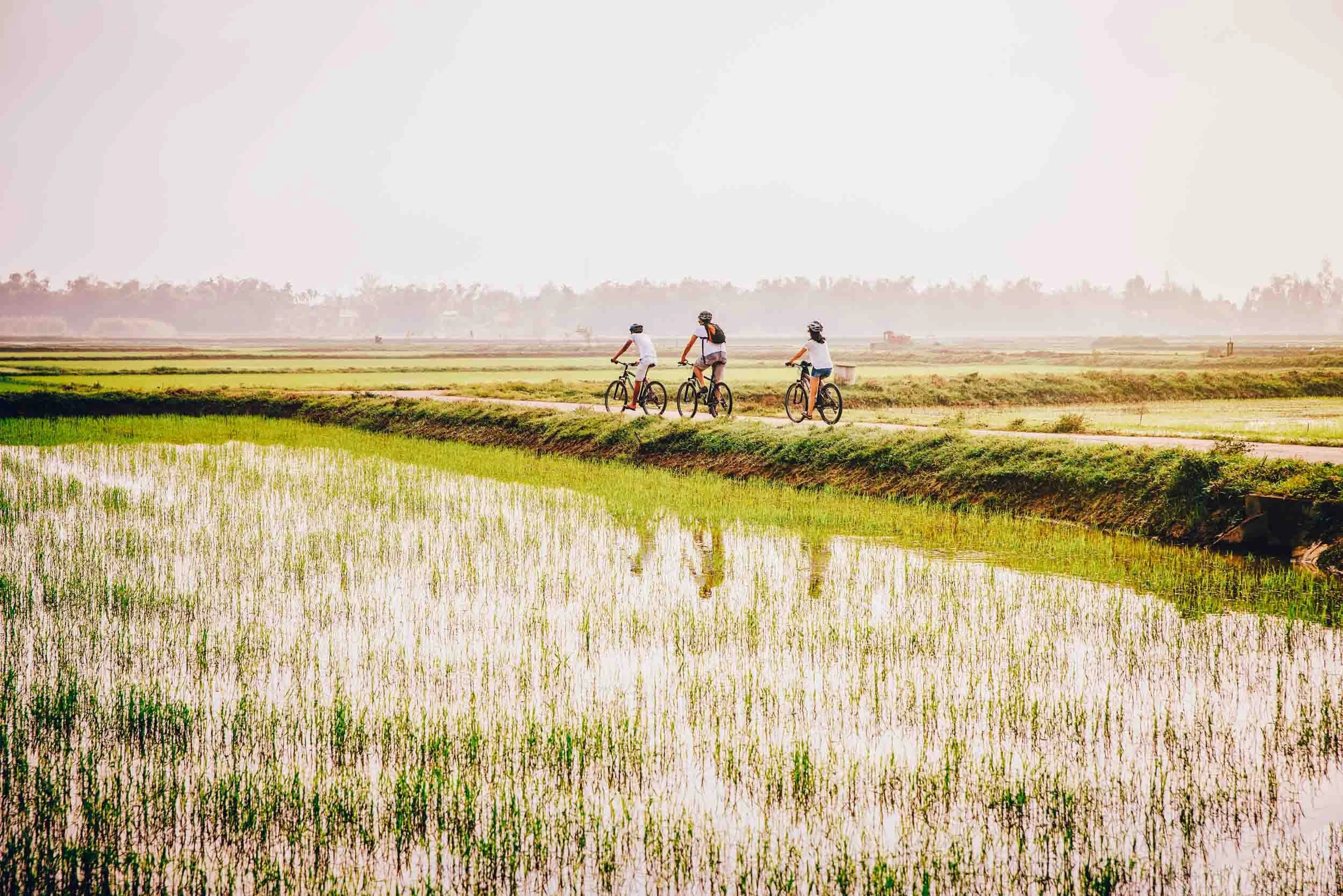 Cyclists-in-Rural-Landscape.jpg