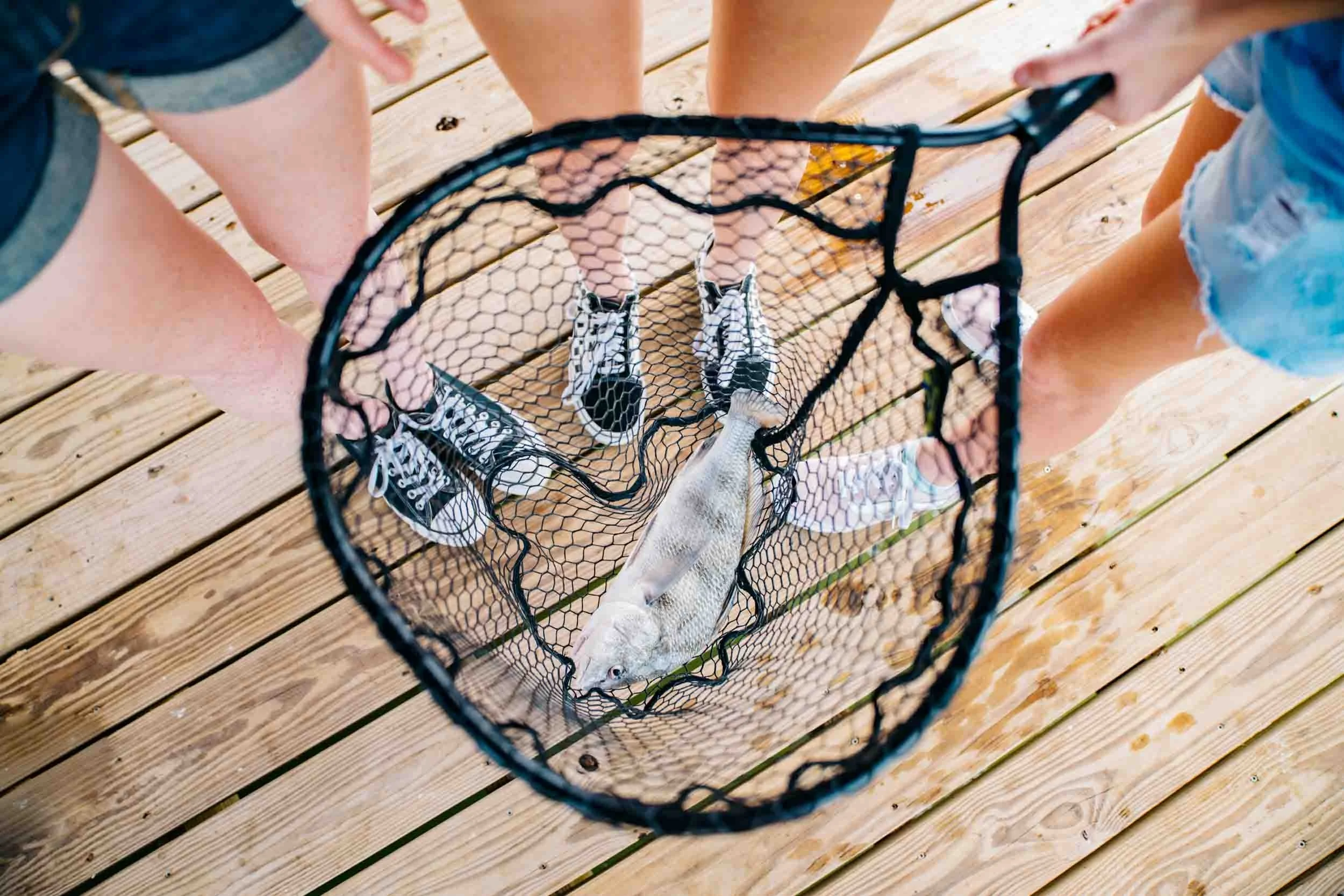 Fish-in-Net.jpg