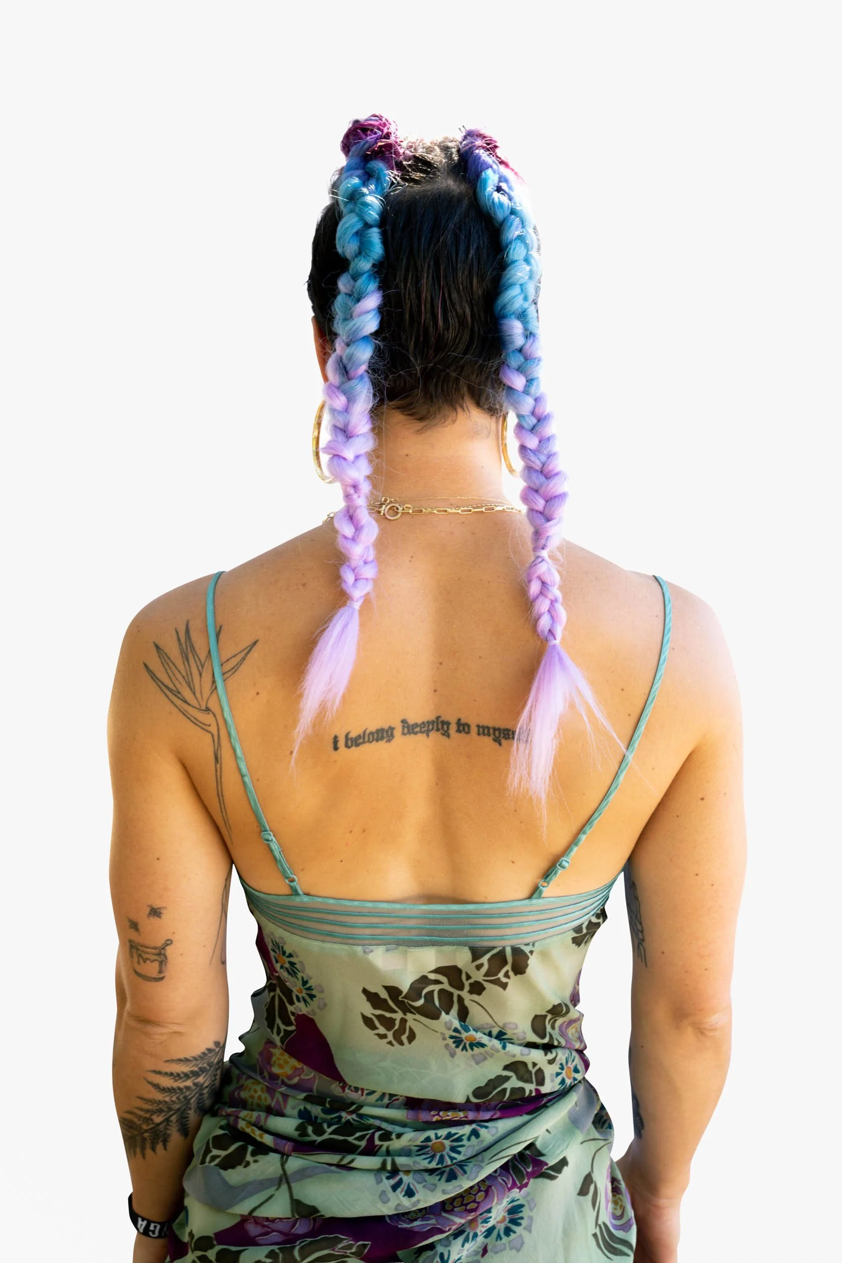 Back-of-Person-with-Colorful-Braids_Kelly-Edit.jpg