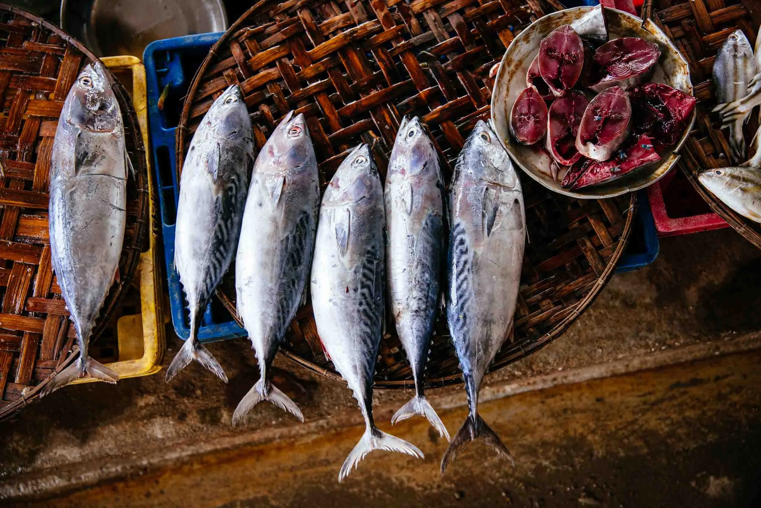 Fish-Display-at-Outdoor-Market.jpg