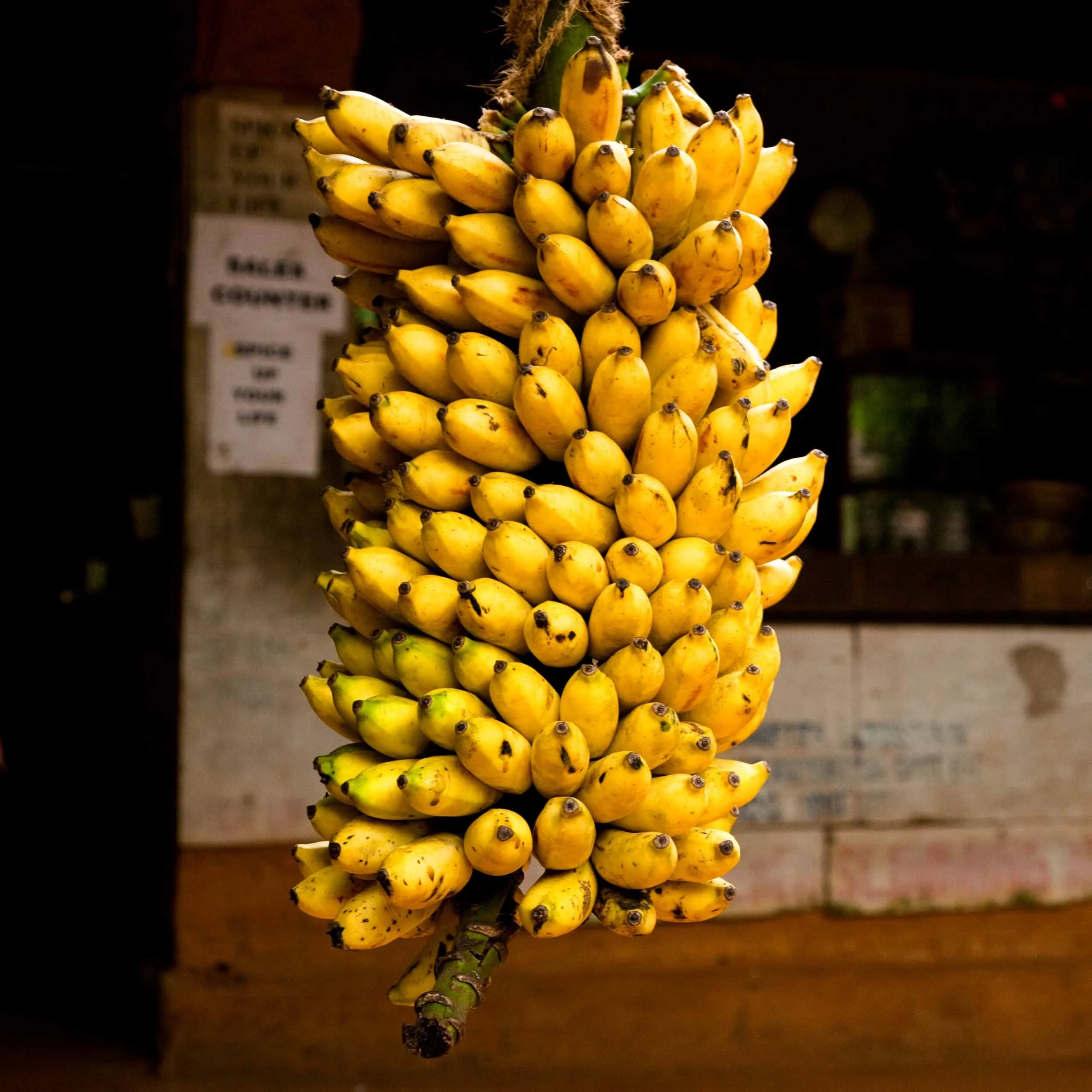 Hanging-Bananas-in-Market.jpg