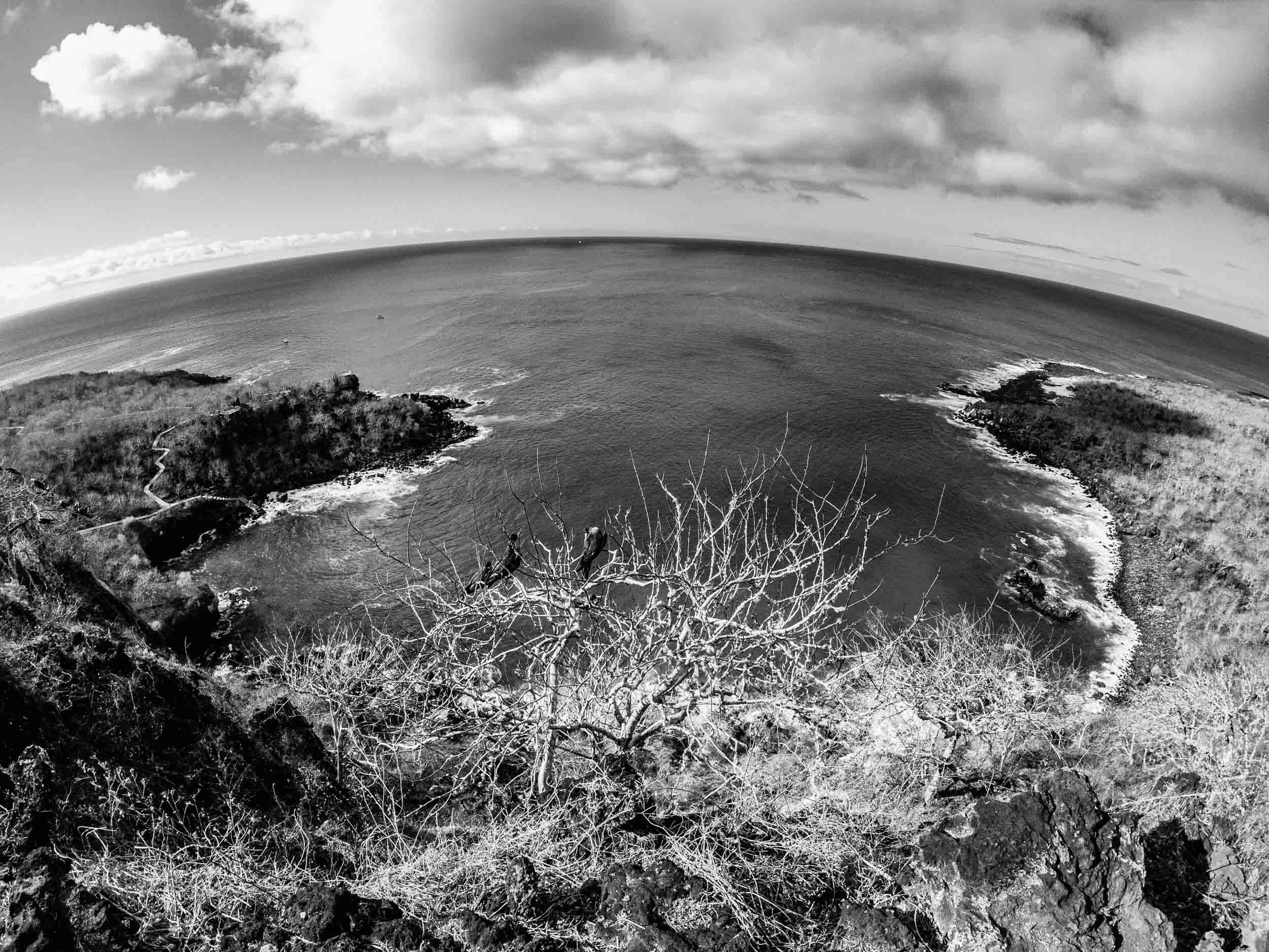 Galápagos-Coastal-Panorama.jpg