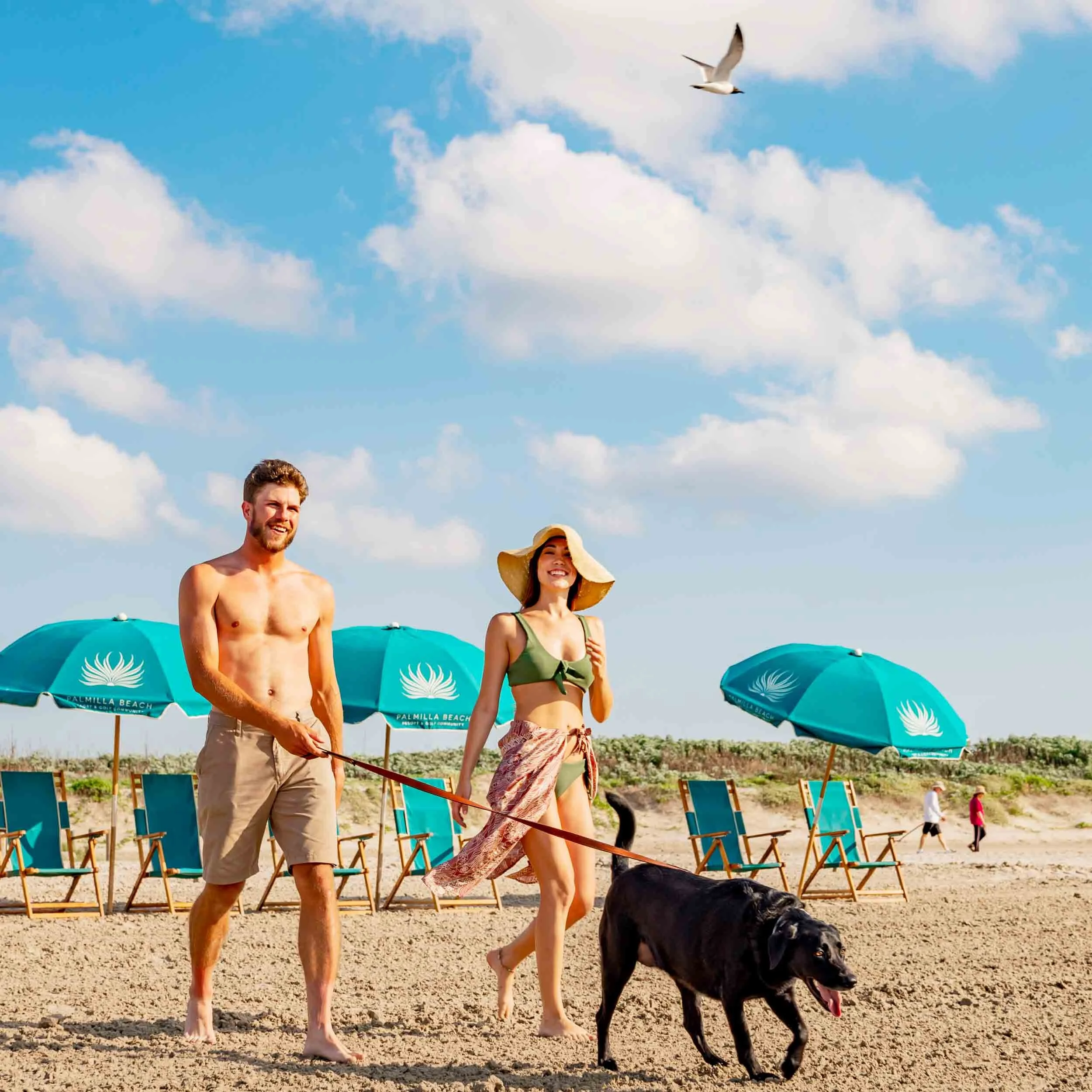 Couple-walking-dog-on-beach.jpg