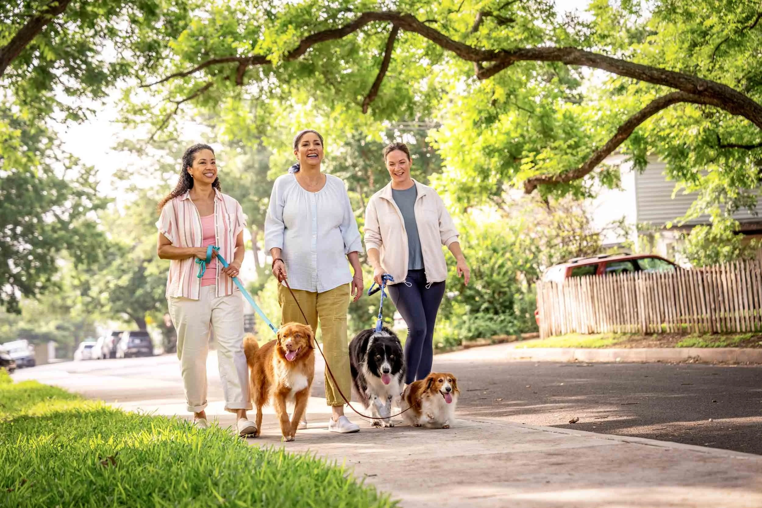 Women-Walking-Dogs-Together.jpg