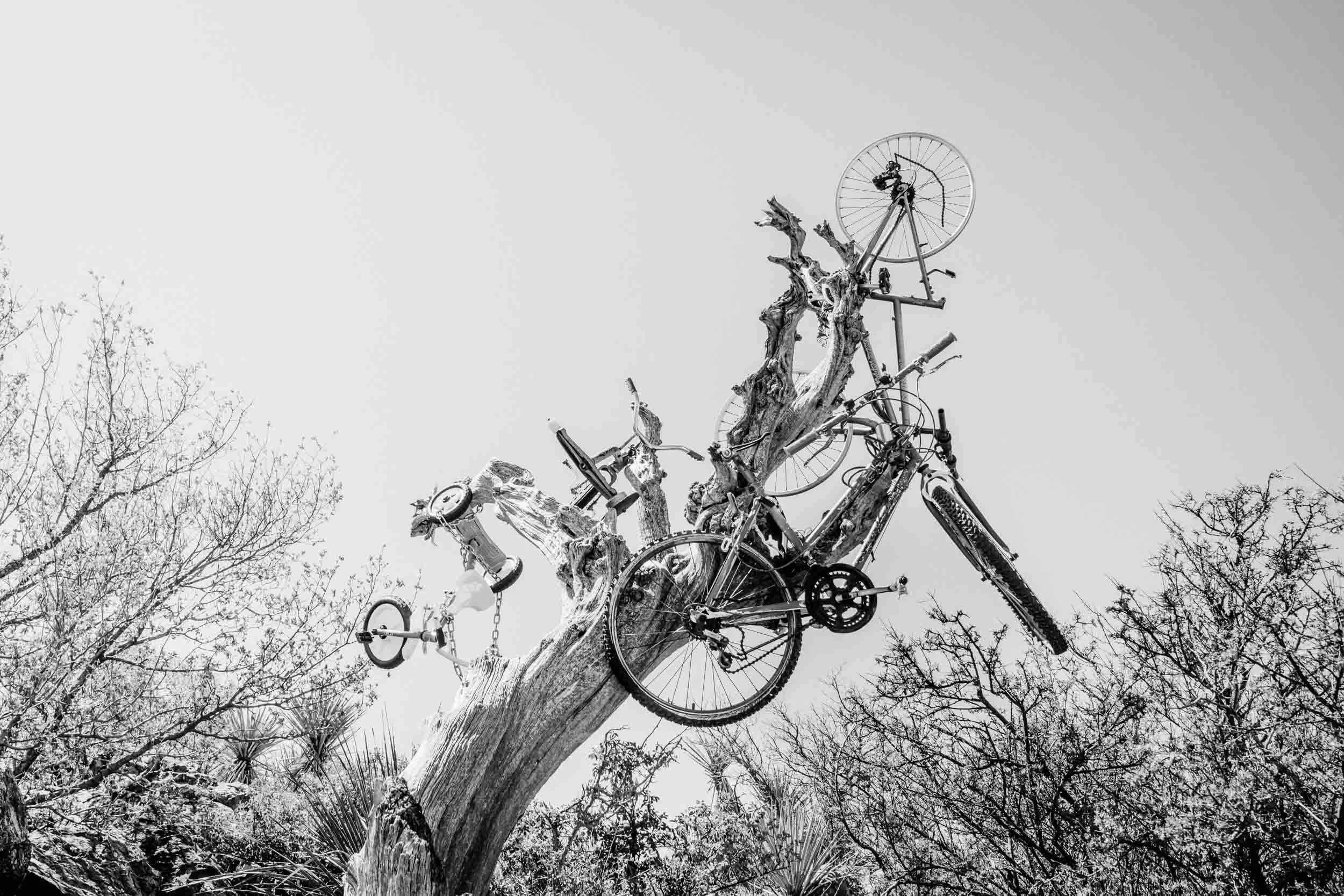 Black-and-white-bicycle-parts-in-tree-sculpture.jpg