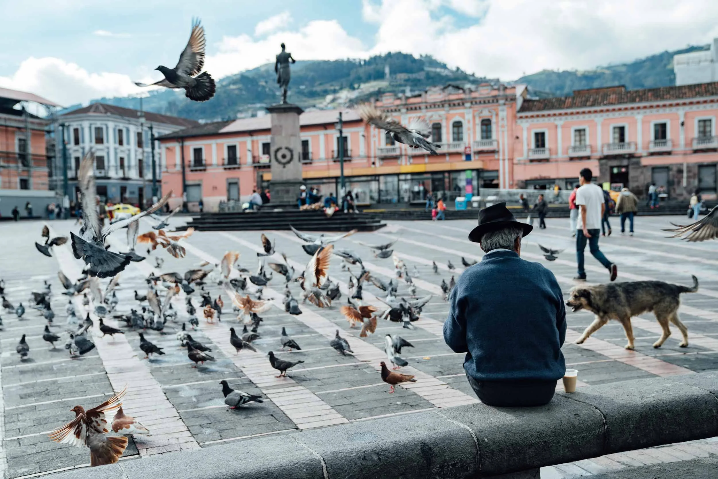 Square-in-Quito-with-Man-Dog-Pigeons-and-Statue.jpg
