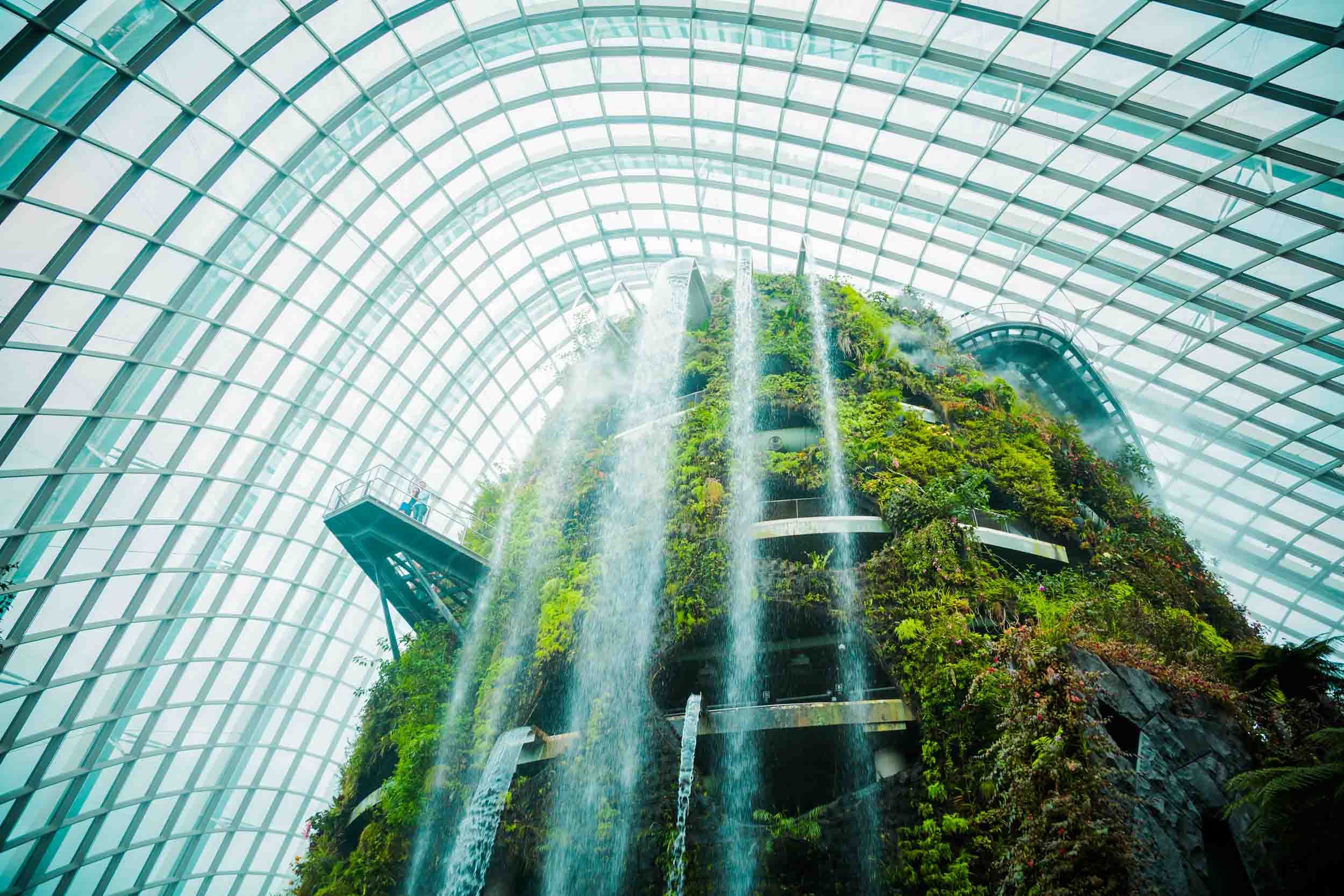 Singapore-Cloud-Forest-Dome-Interior.jpg