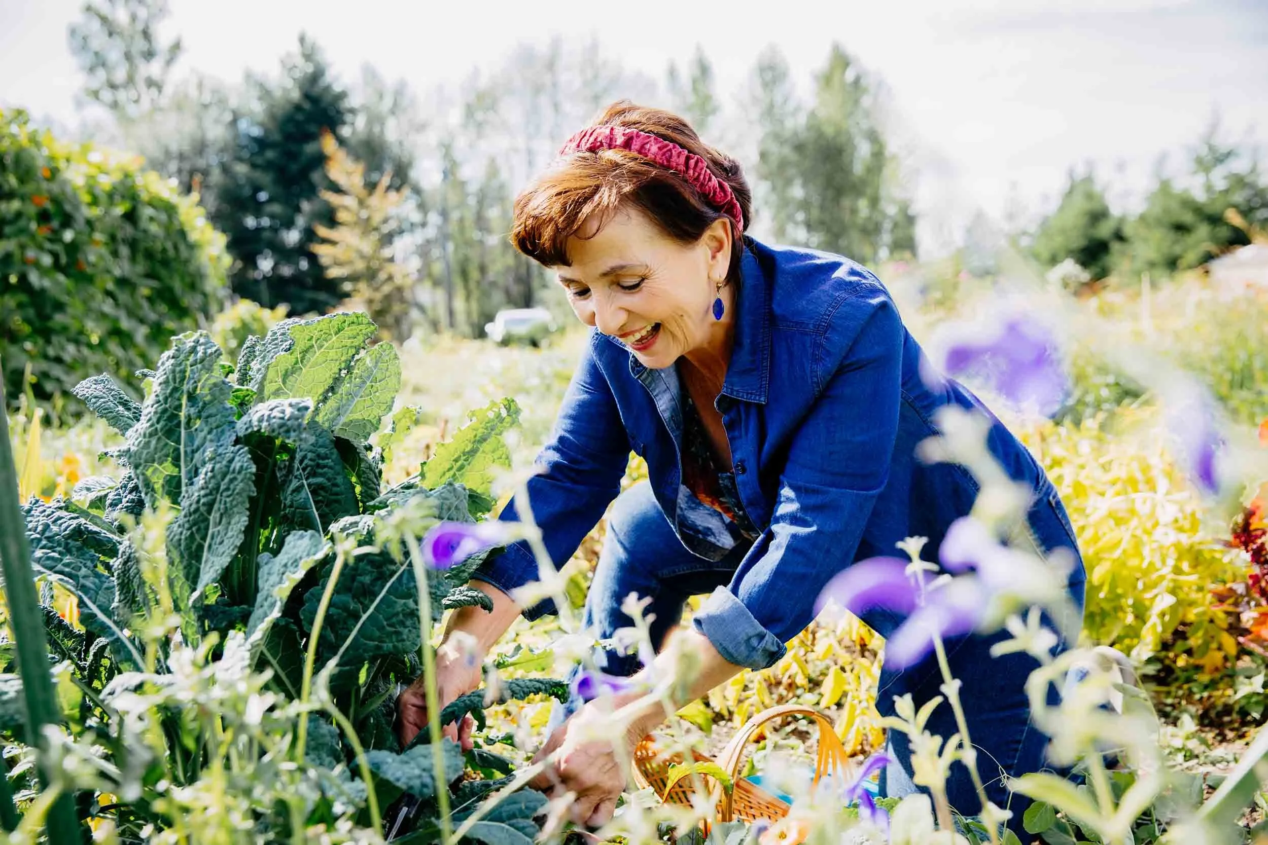 Woman-Gardening-in-Sunshine.jpg