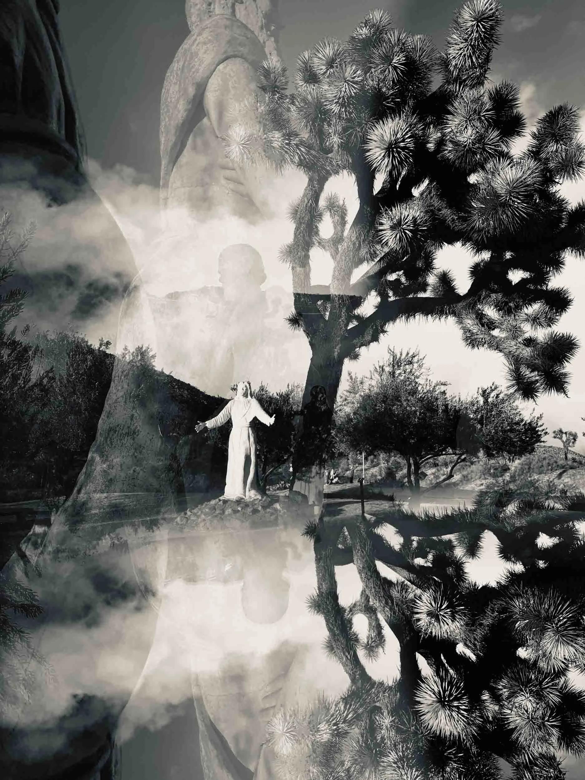 Statue-of-Jesus-and-Cactus-in-Black-and-White.jpg
