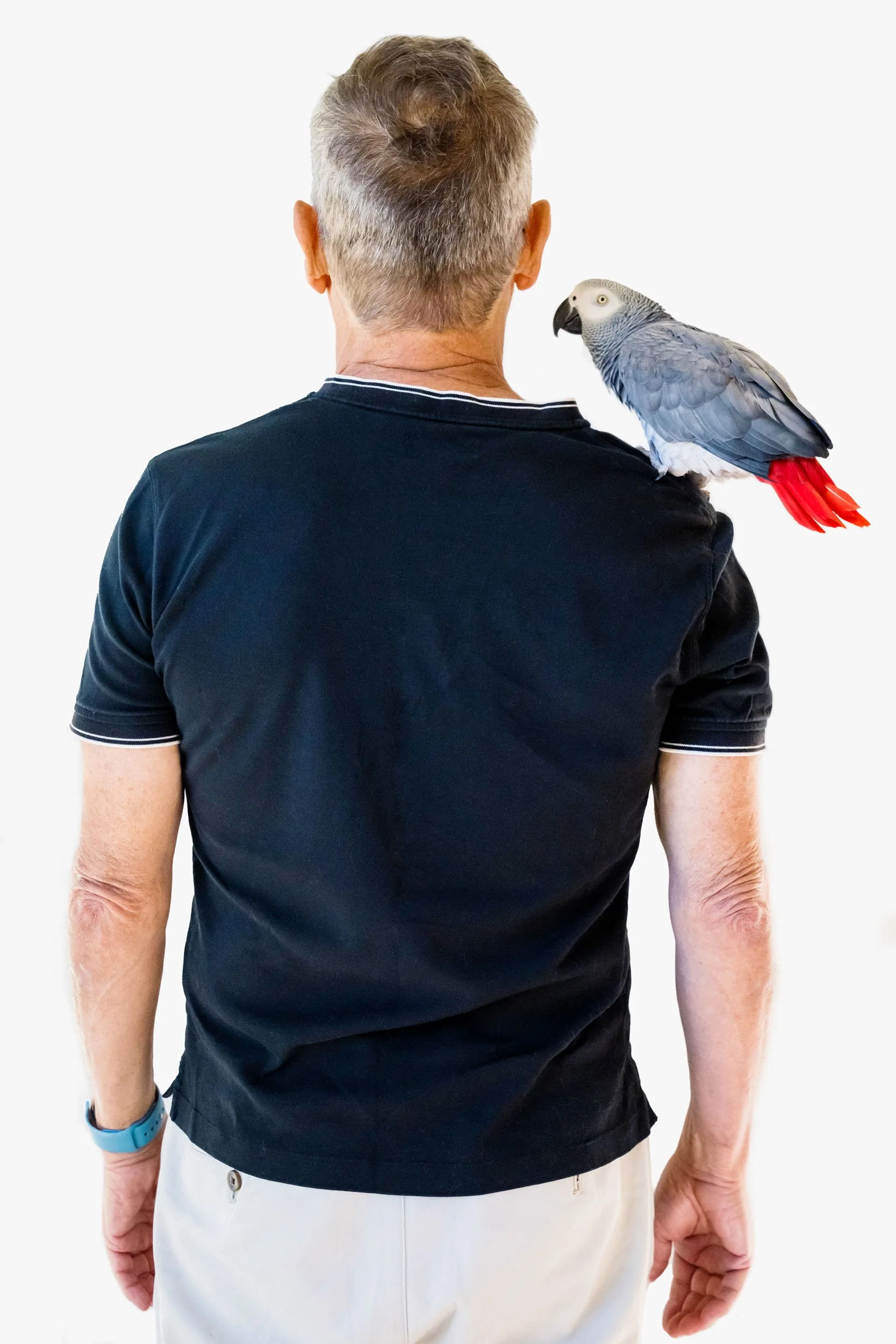 Back-of-Man-with-Gray-Parrot_John.jpg