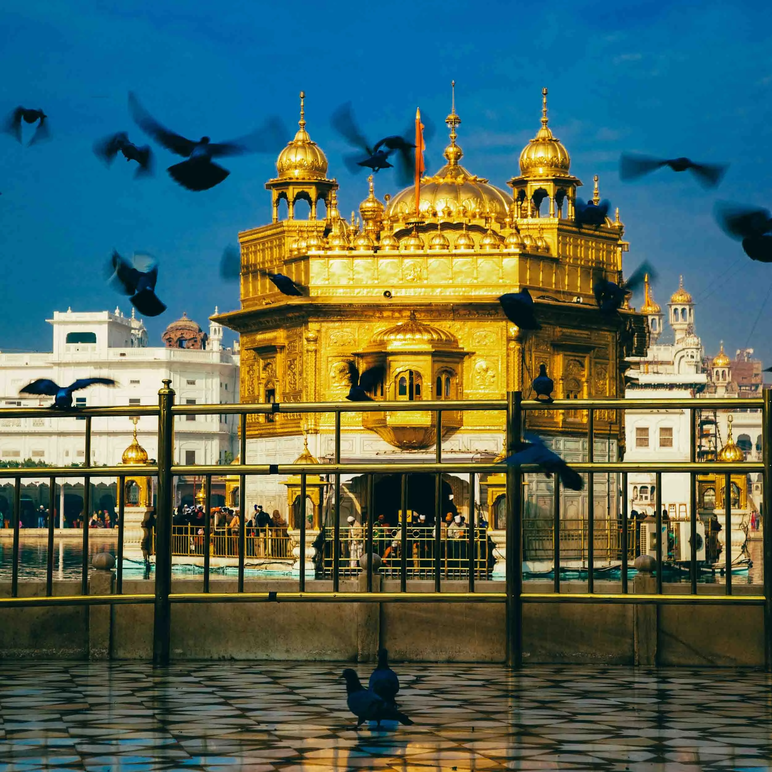 Golden-Temple-Amritsar-with-Birds.jpg