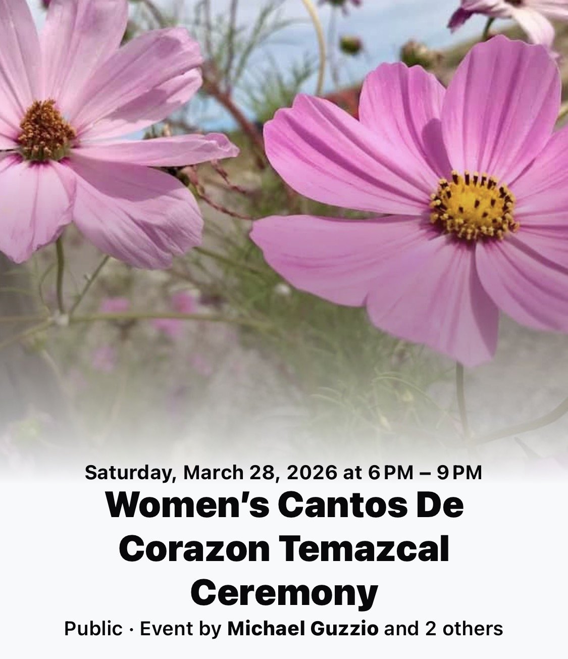 Women’s Cantos De Corazon Temazcal Ceremony