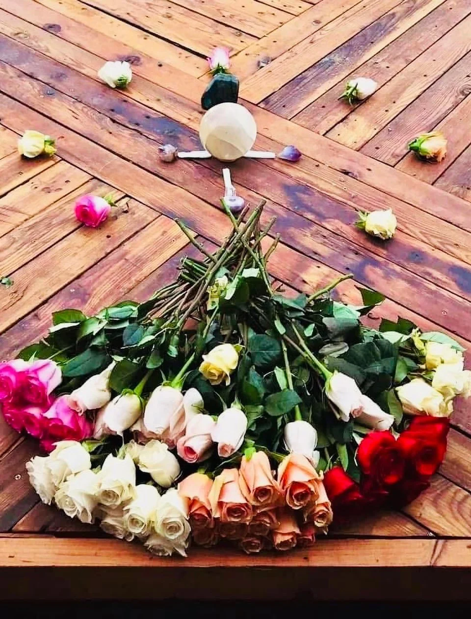 A bouquet of multicolored roses lying on a wooden floor with scattered individual roses around.