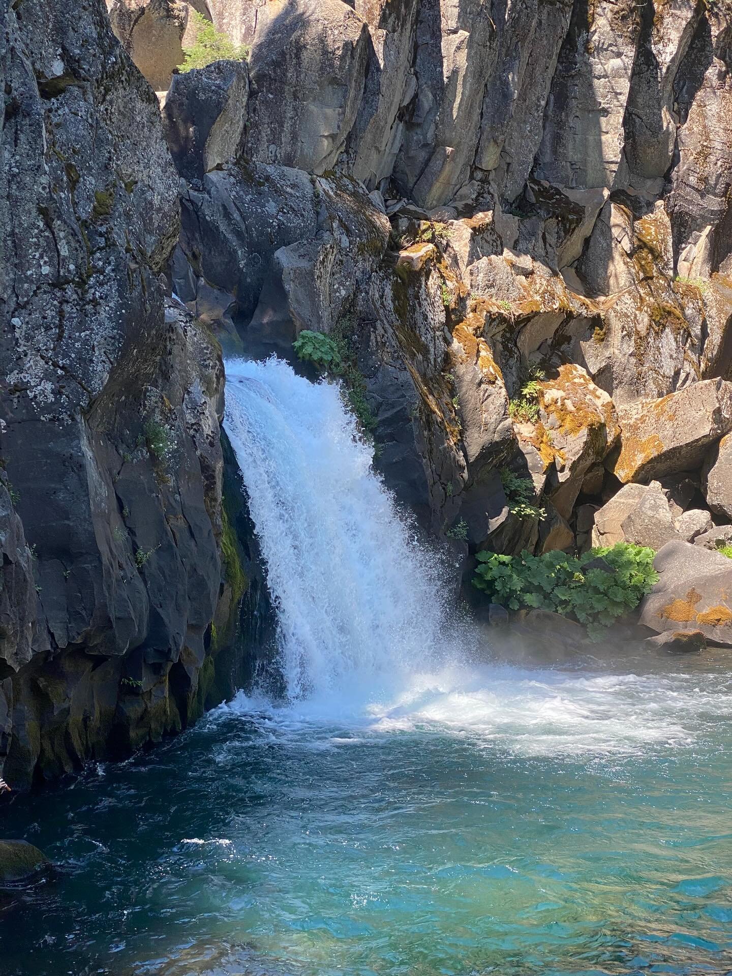 A small waterfall flowing into a clear blue pond surrounded by large rocks and moss. Green plants grow among the rocks.