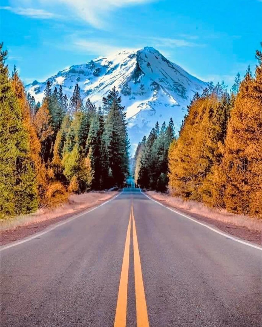 A paved road with yellow dividing lines stretches into the distance, flanked by trees with autumn foliage, leading toward a snow-capped mountain under a blue sky with some clouds.