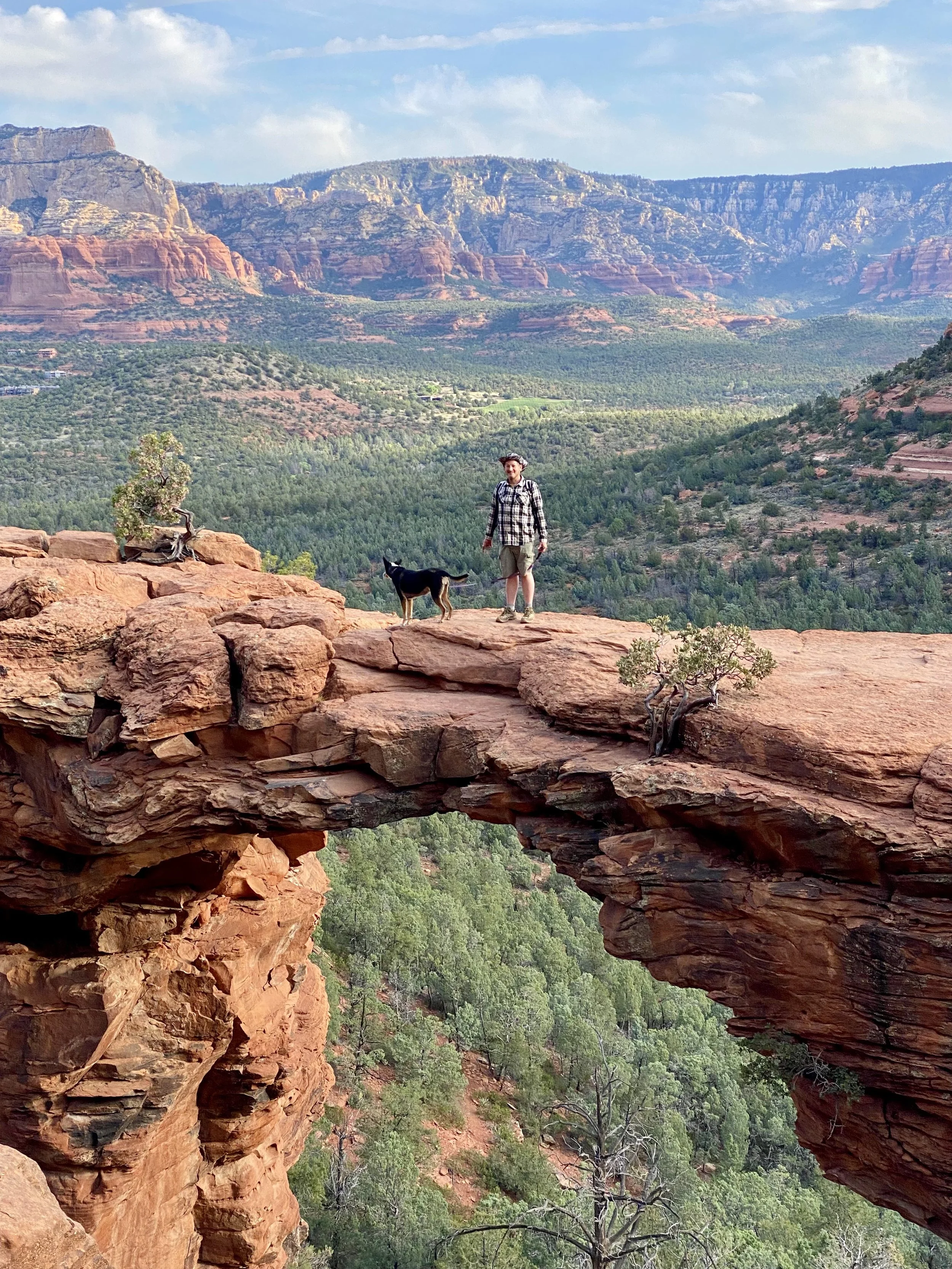 A person and a dog standing on a rock formation in a desert canyon landscape with red rocks and green trees in the background.