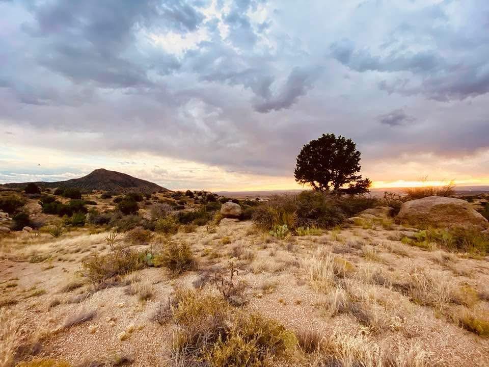 A desert landscape with sparse vegetation, a lone tree, dry grass, rocks, and a mountain in the background during sunset under a cloudy sky.