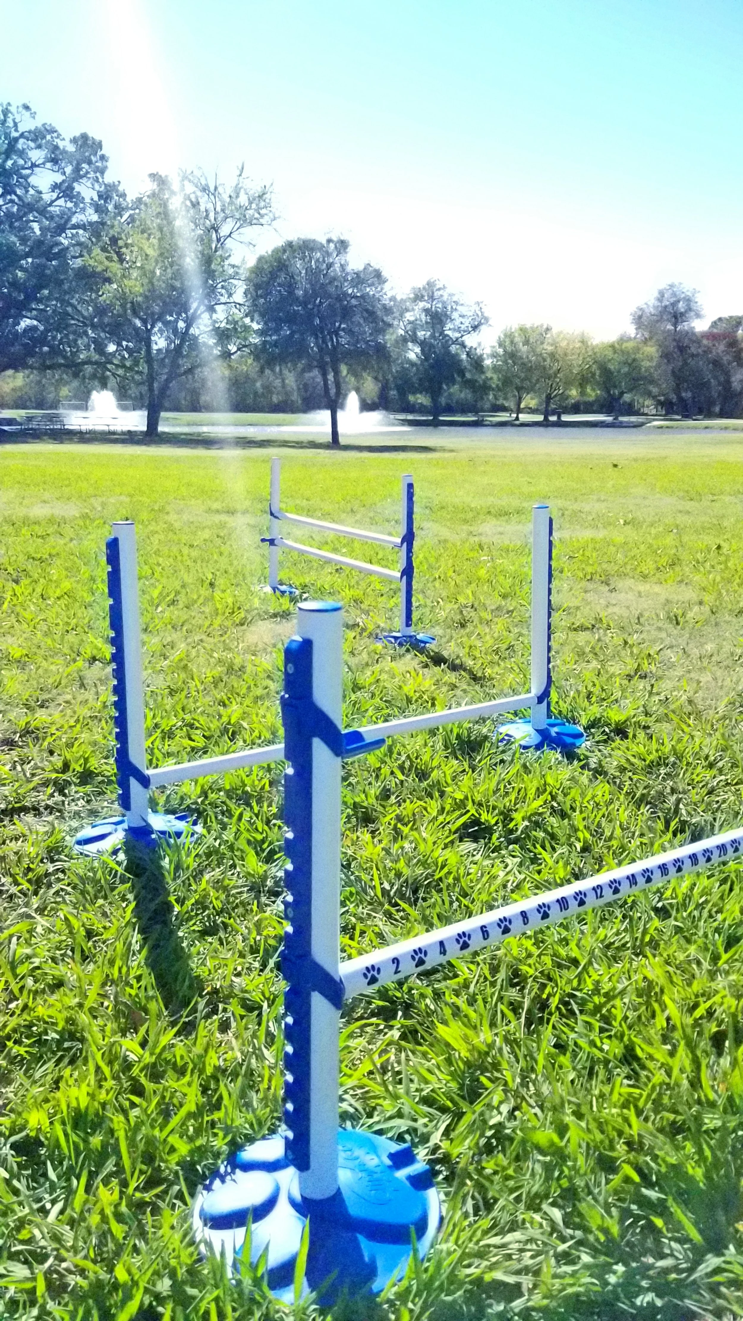 Pet agility jumps set up on a grassy field with trees and a fountain in the background.