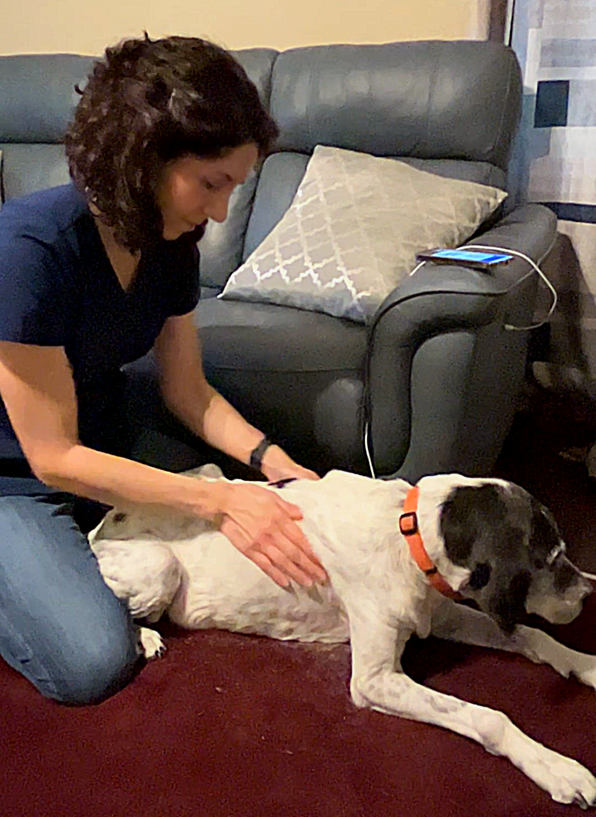 A woman petting a large white dog with black spots on its head, lying on a red carpet in front of a gray couch with a light-colored pillow, in a cozy living room.