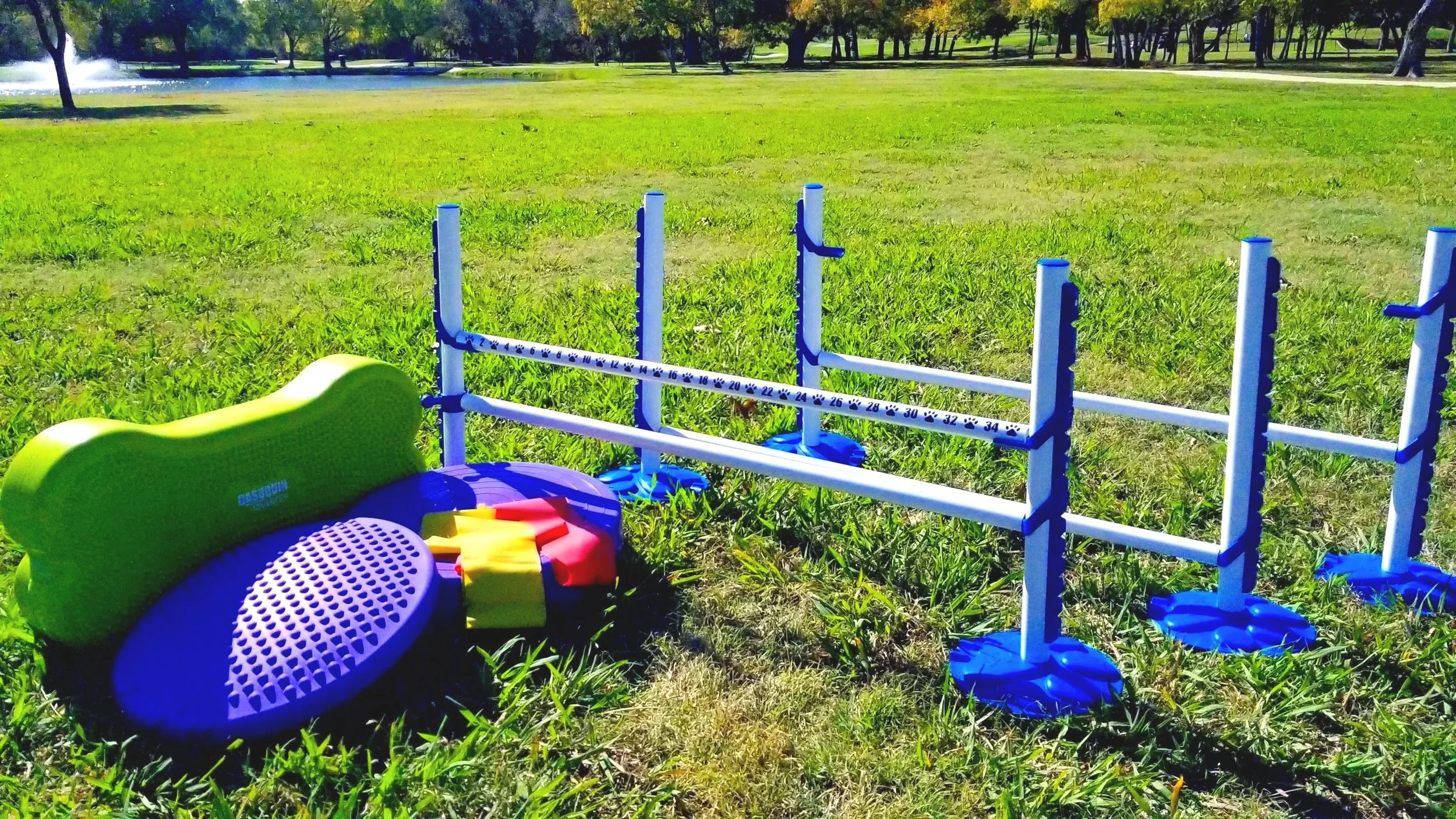 Equipment used for animal physical therapy