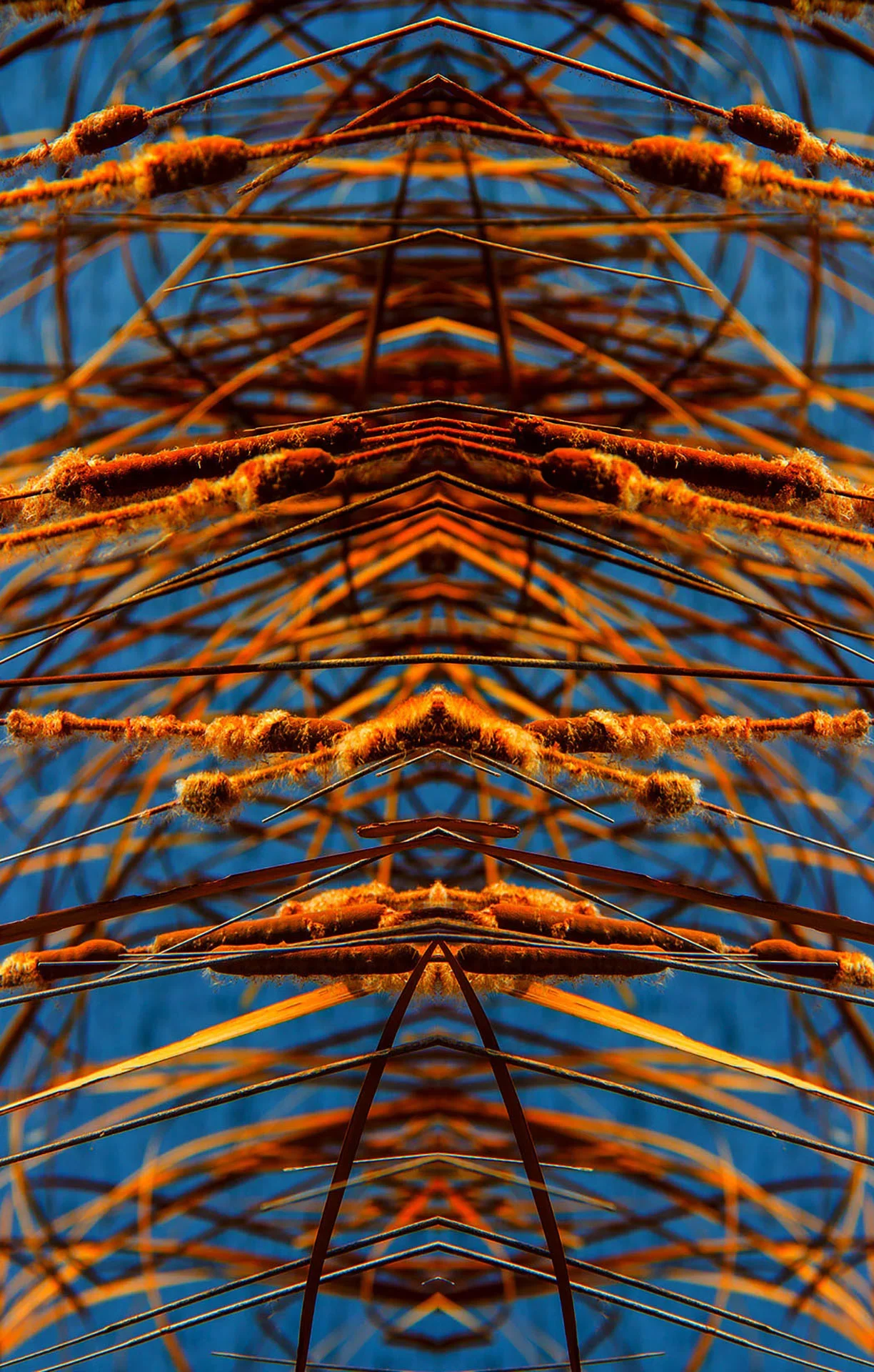 Formation  |  00 X 00 IN  |  2013