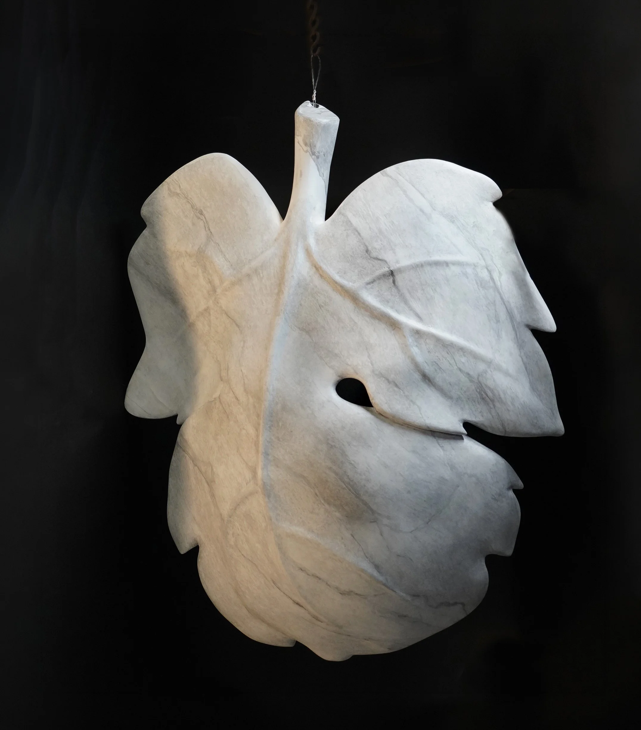 Leaf angel view.jpg
