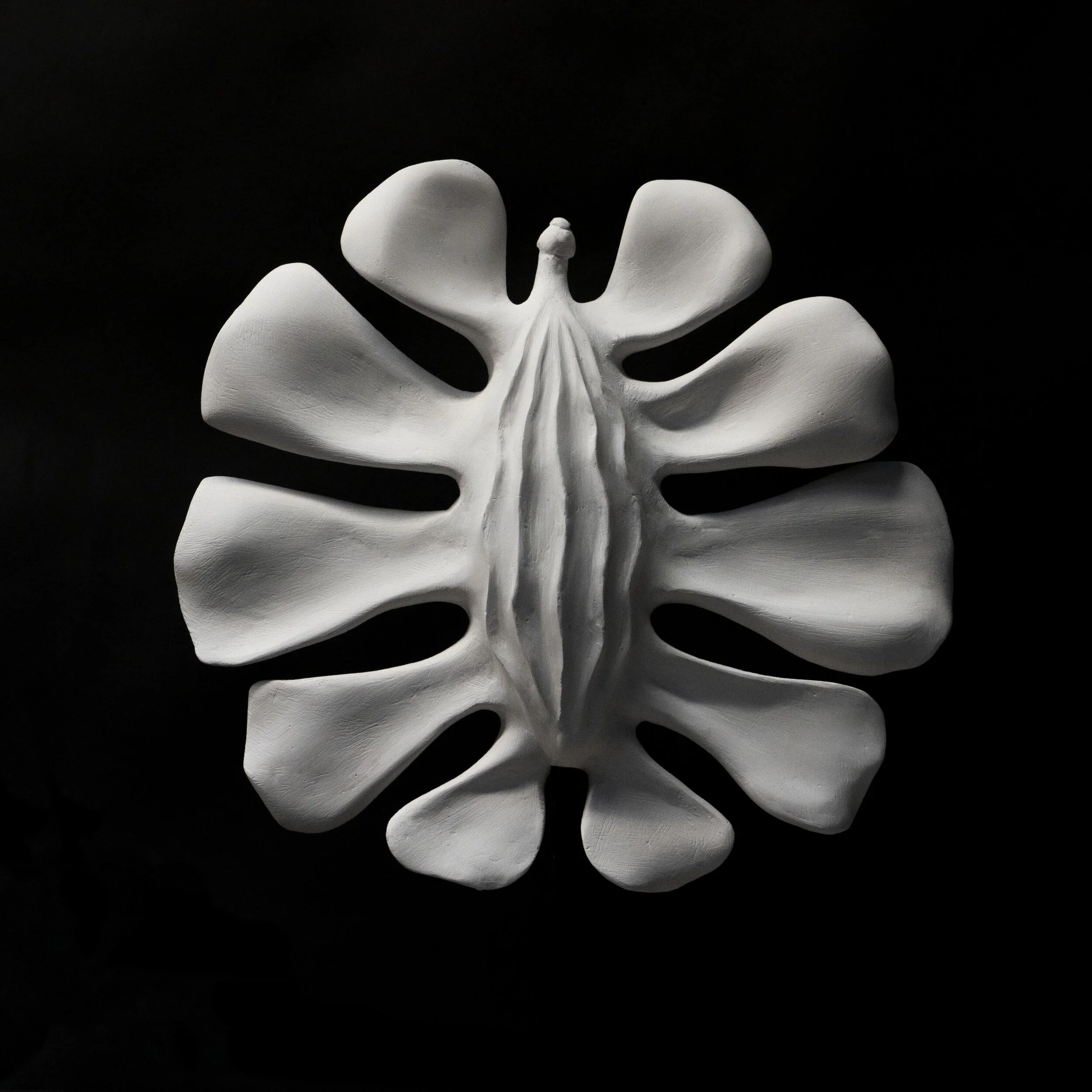 Artedia Squamata  | Plaster Maquettes | 16 x 15 x 8 | 2018

