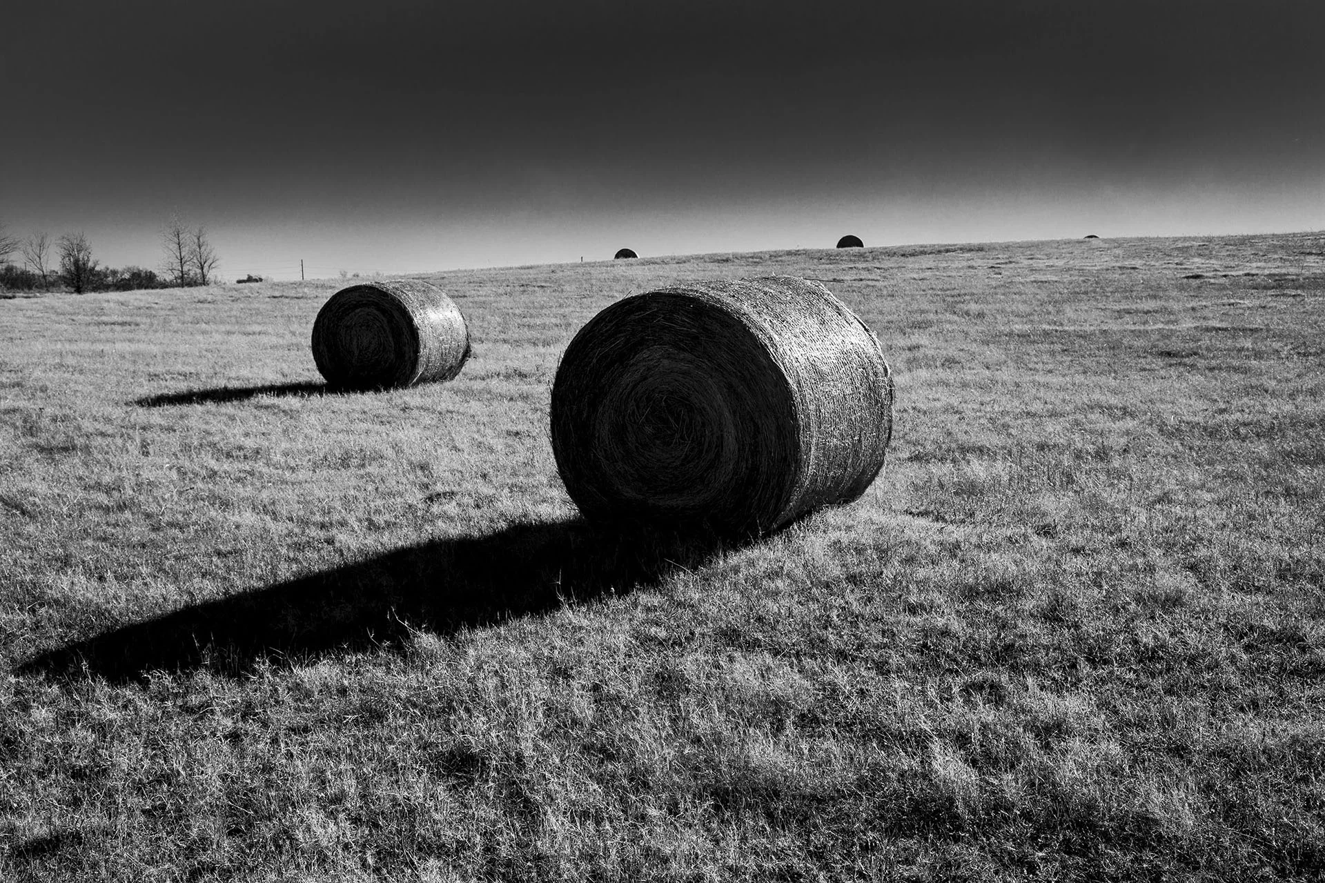 Hay Bale