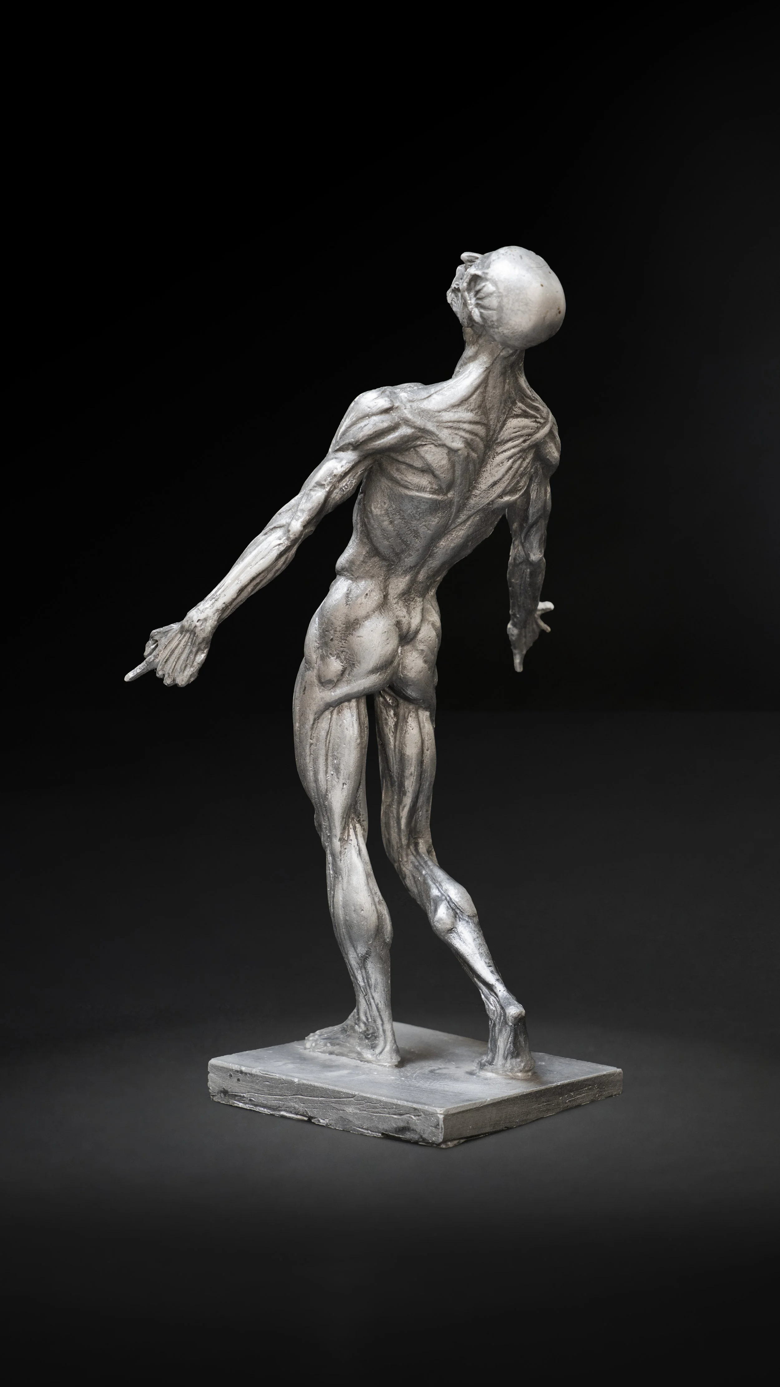 An image of Flayed.